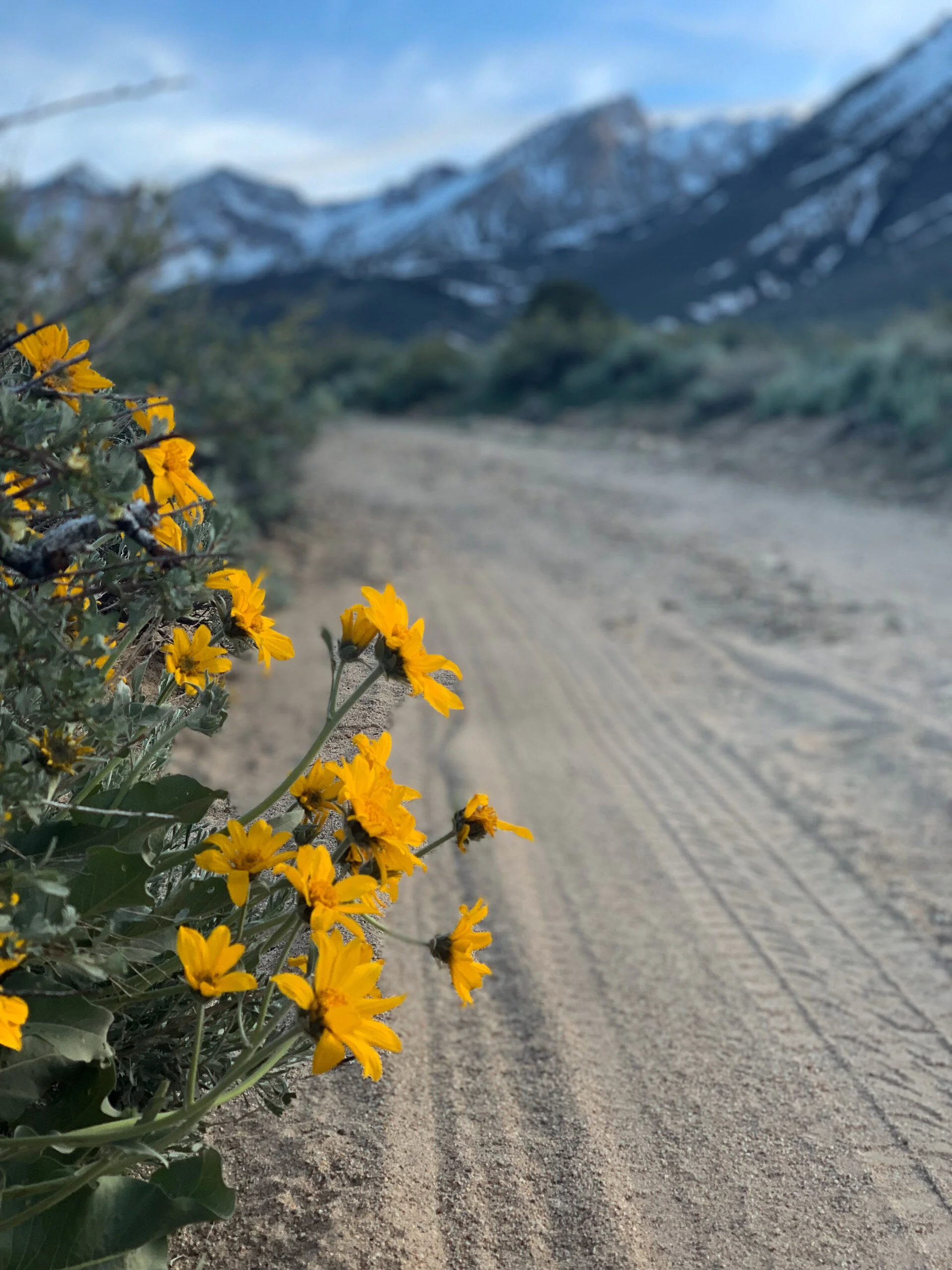 4.20.20 // What Do You See?