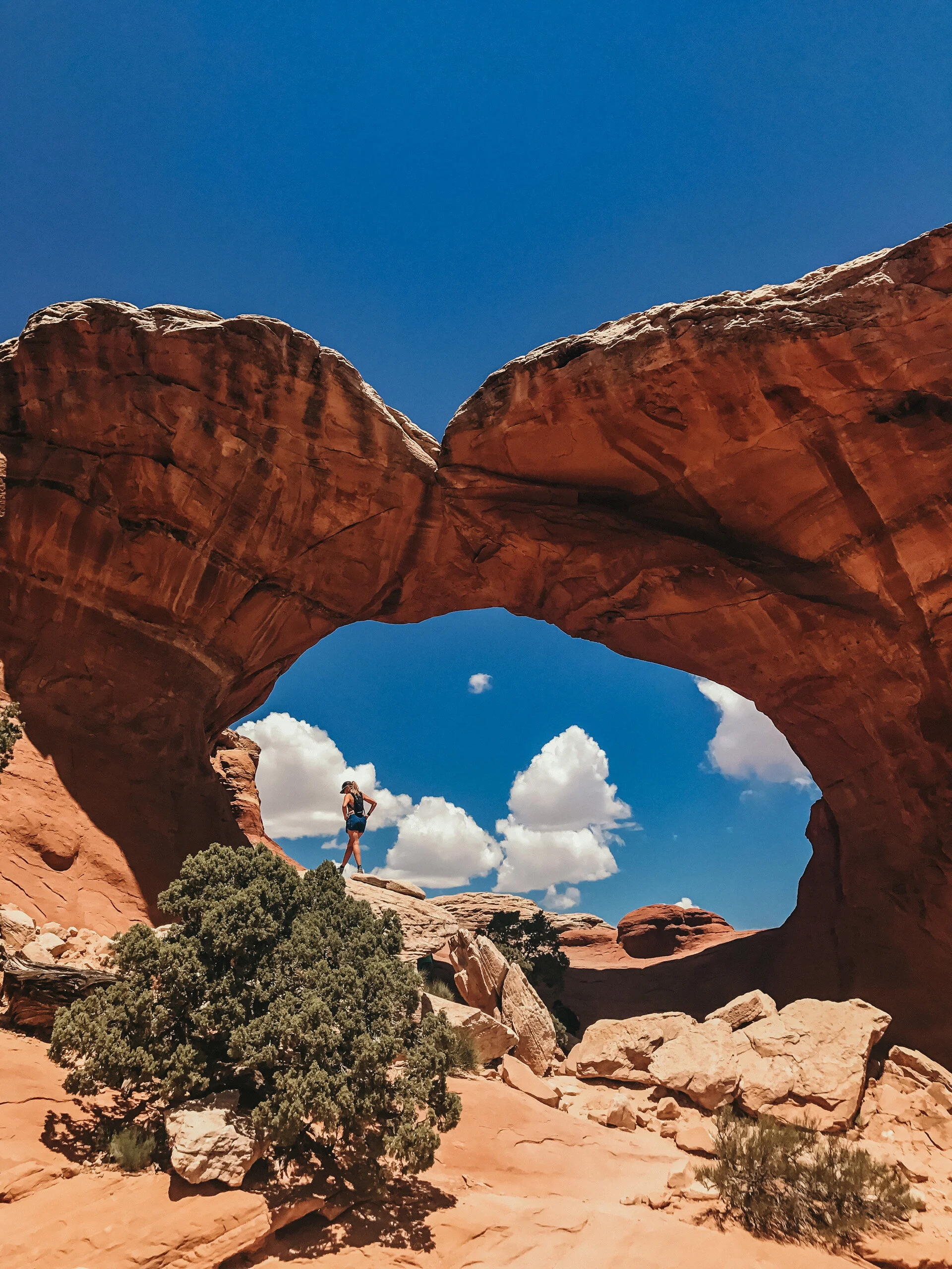 5.11.20 // 2020 Freedom