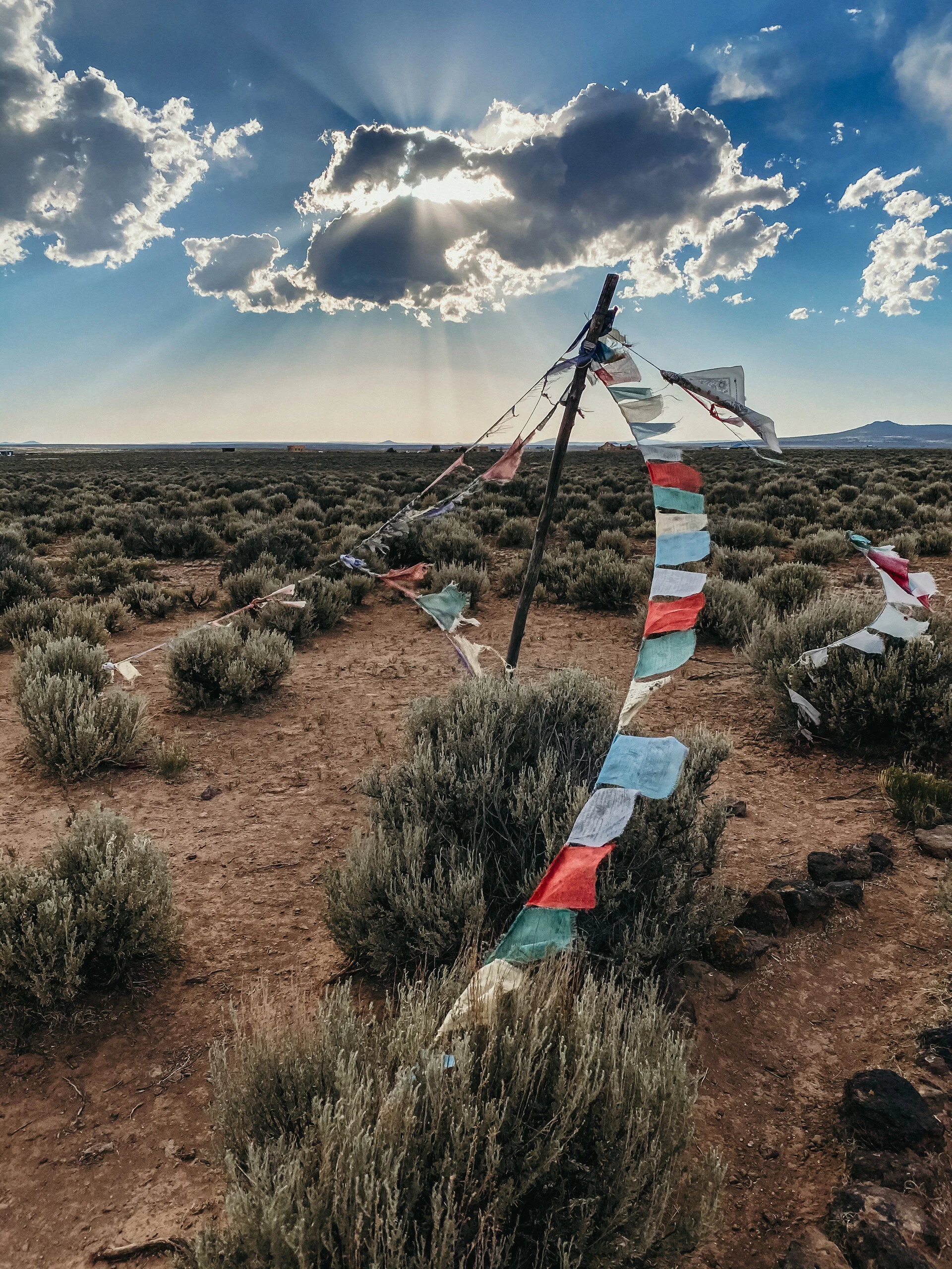 6.12.20 // I am privileged