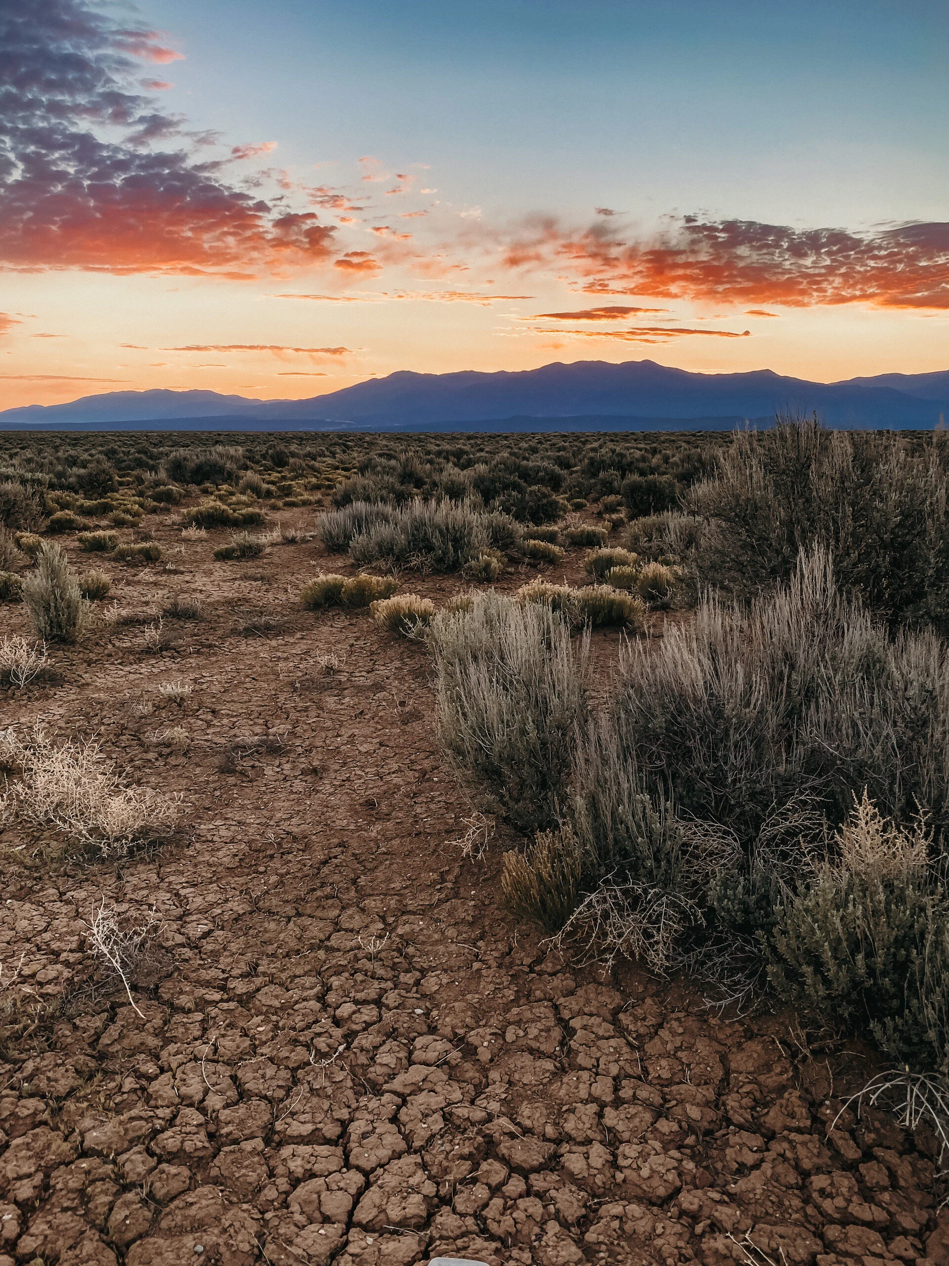 6.23.20 // New Mexico Air