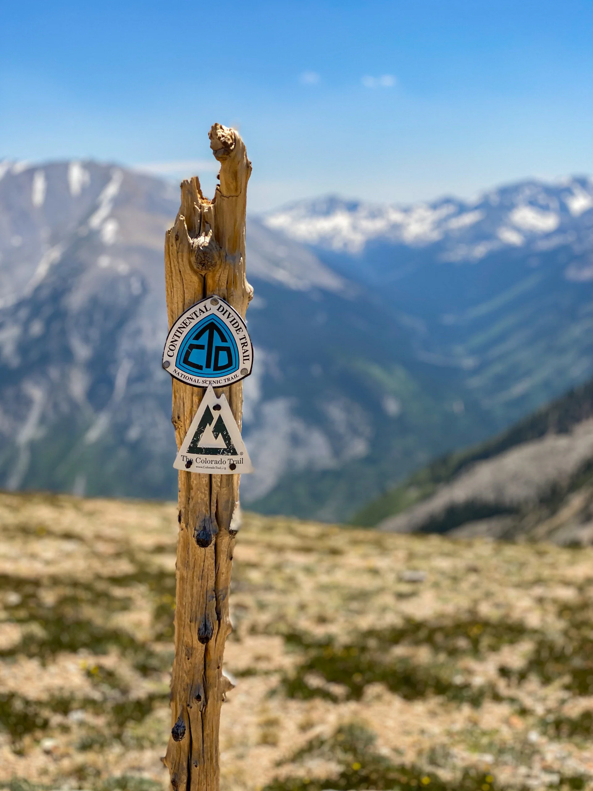 7.6.20 // Follow the signs