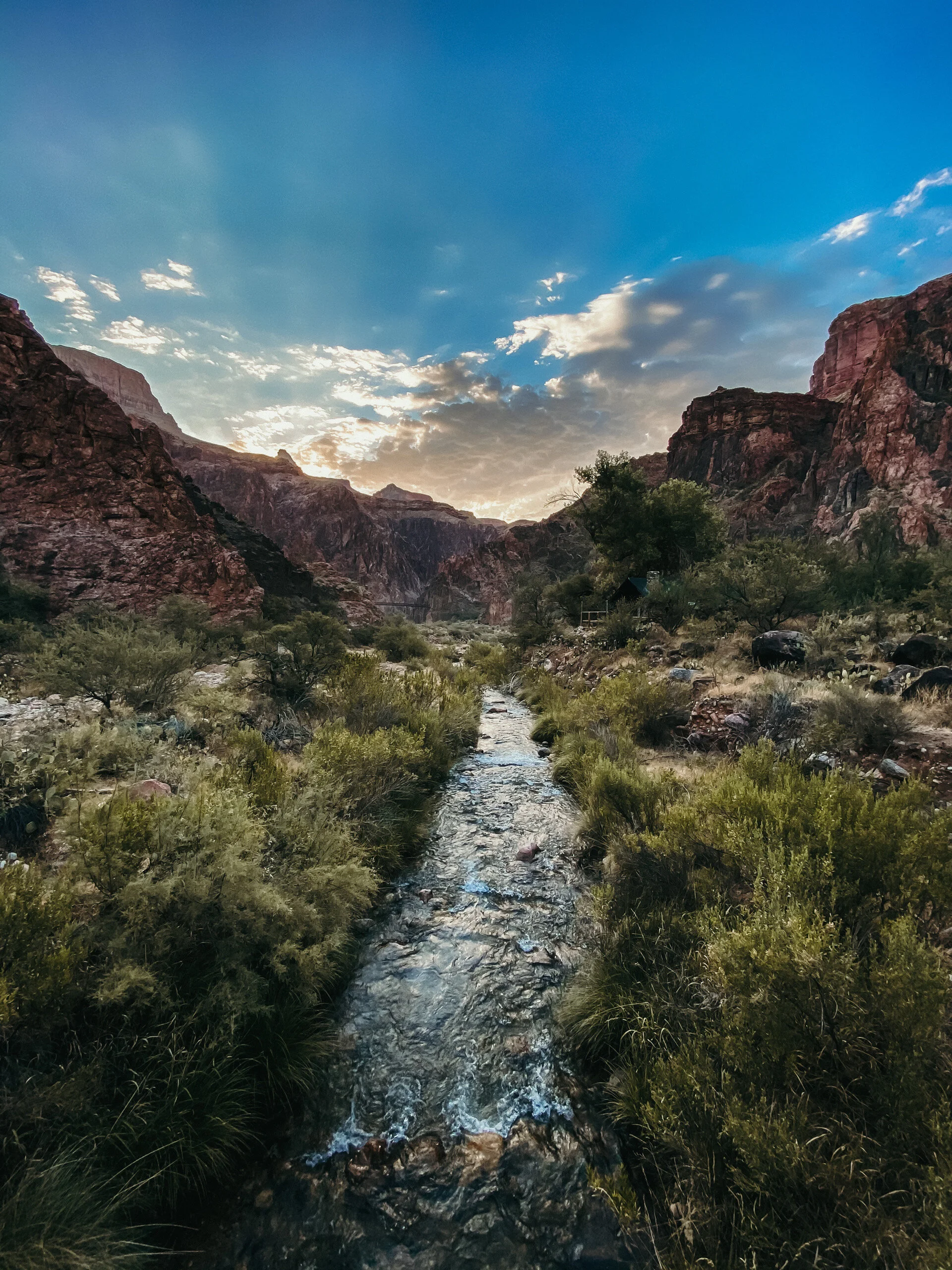 7.27.20 // An expired friendship...