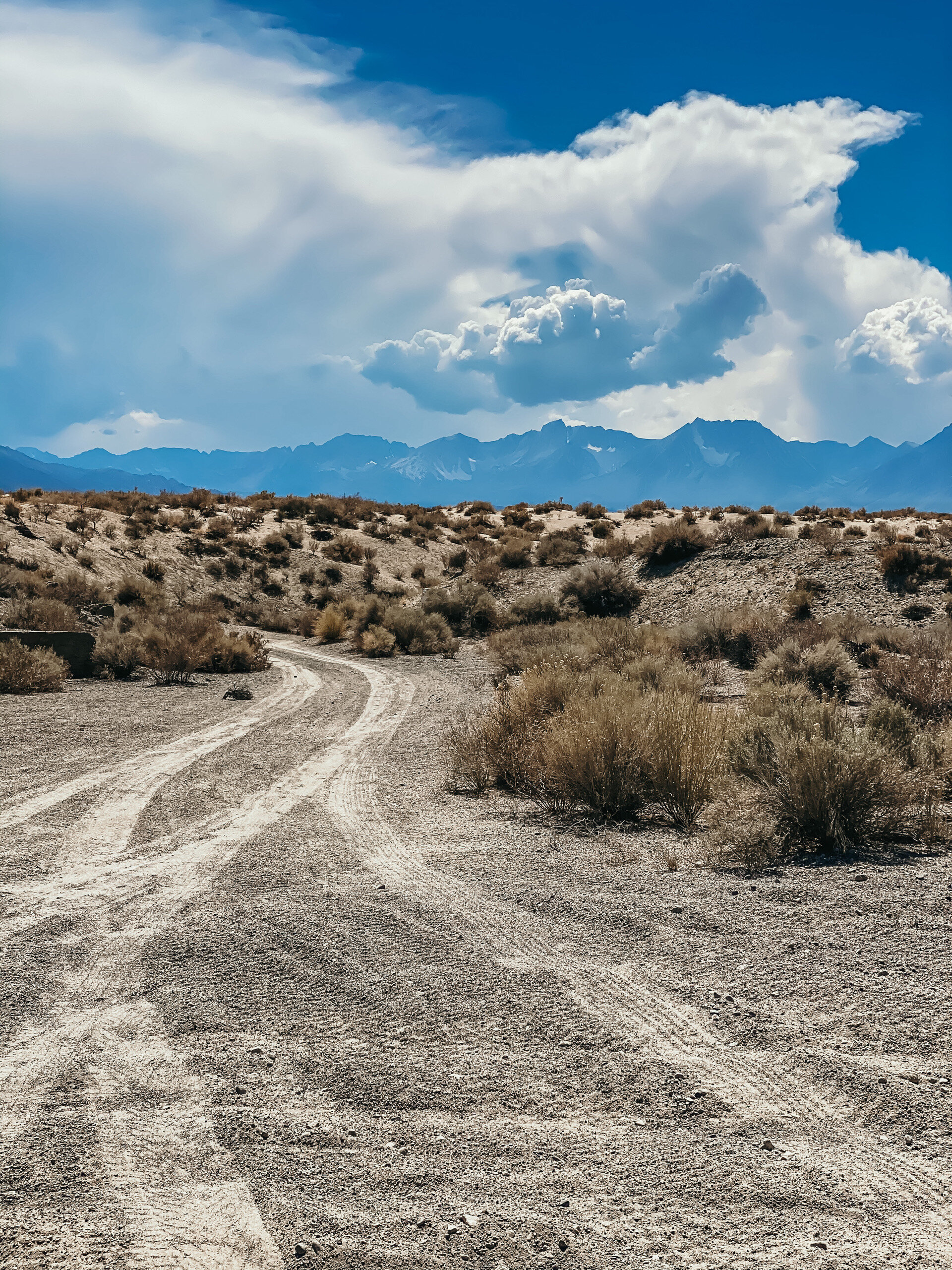 8.21.20 // intuition