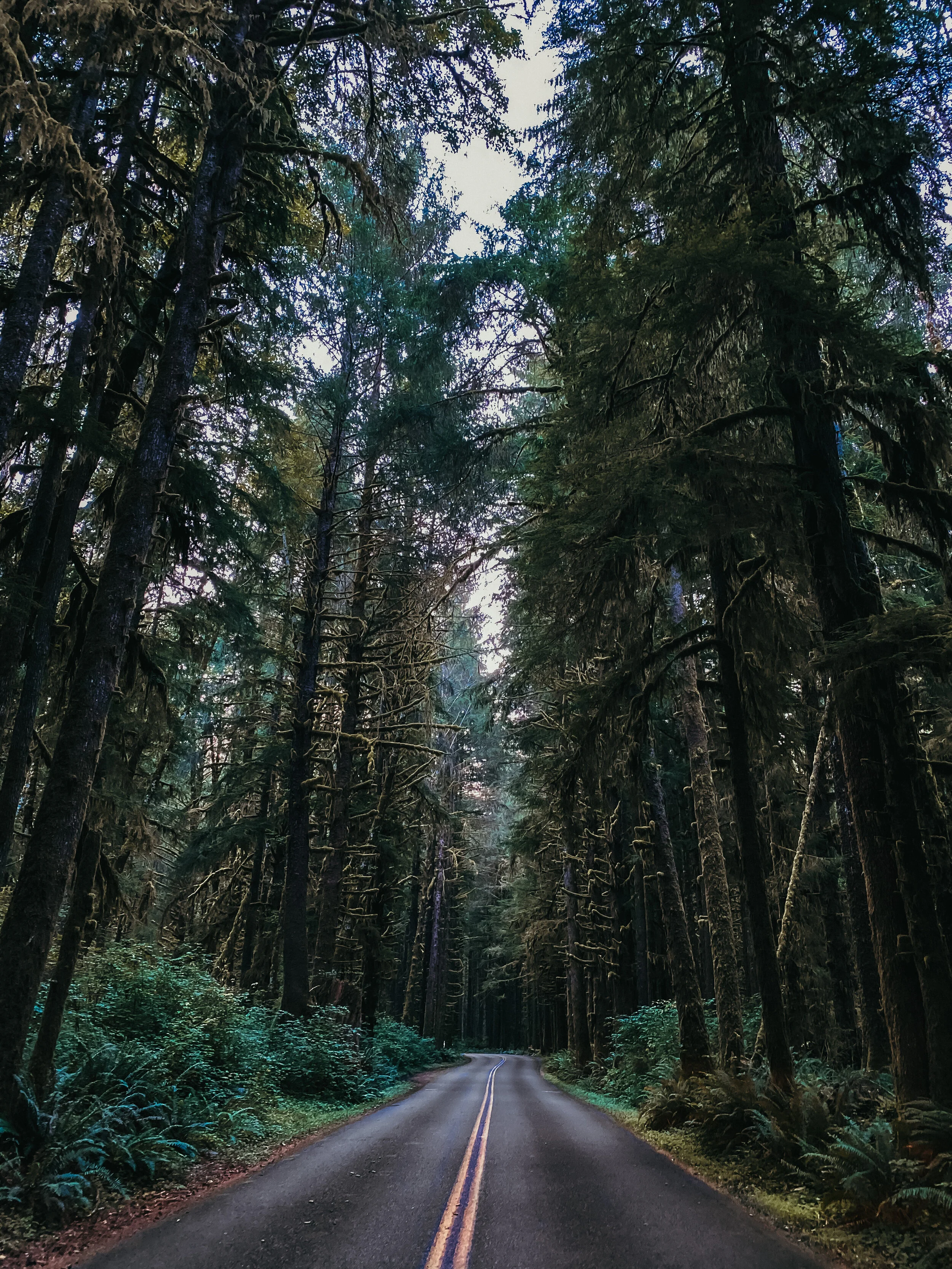 9.8.20 // quiet places