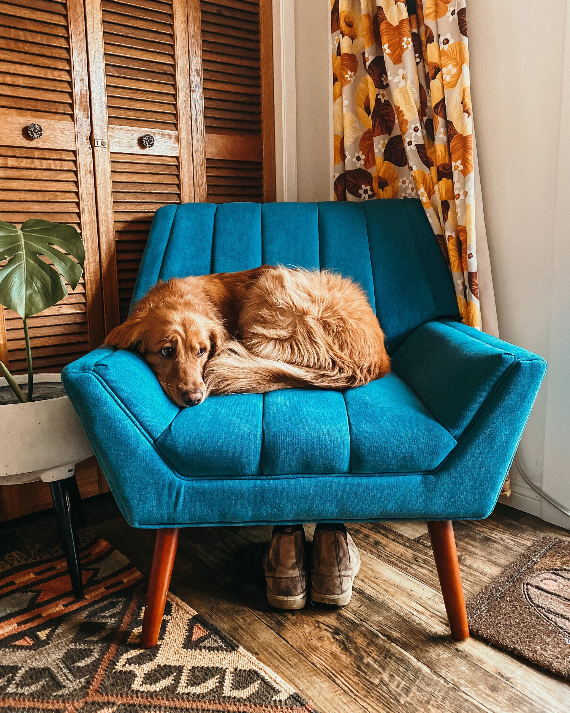 11.16.20 // a week of scout, part I