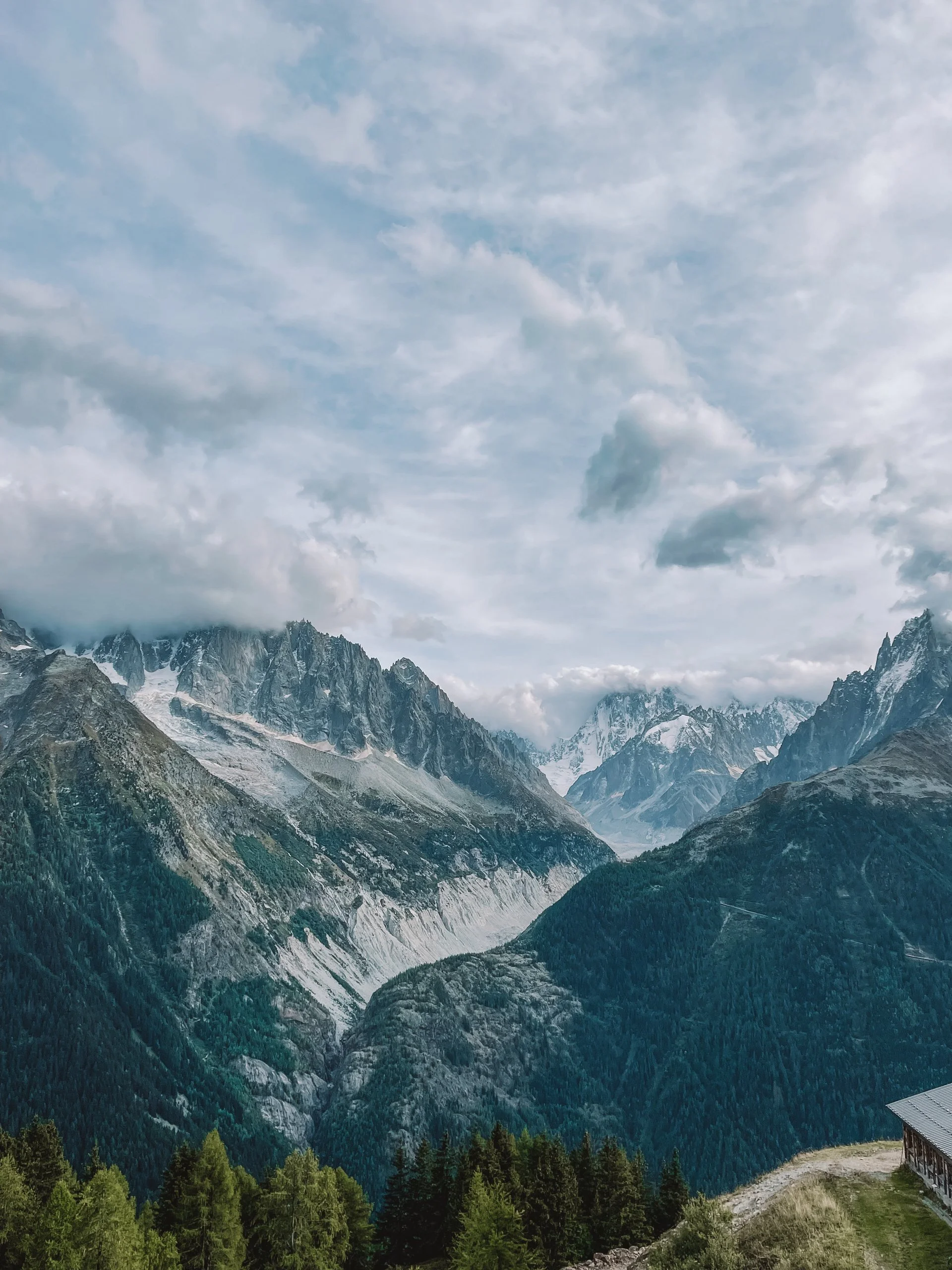 11.17.21 // Fork in the Path