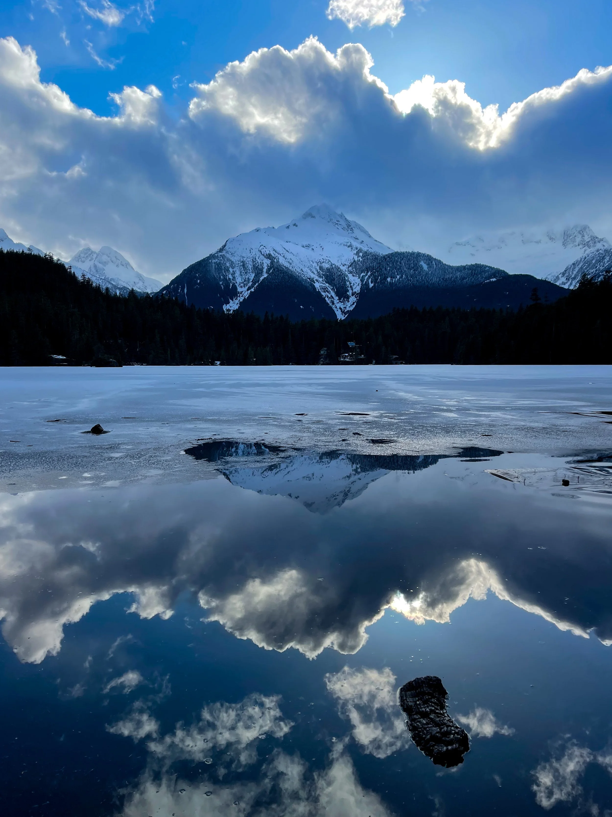 3.21.22 // Reflection in Nature