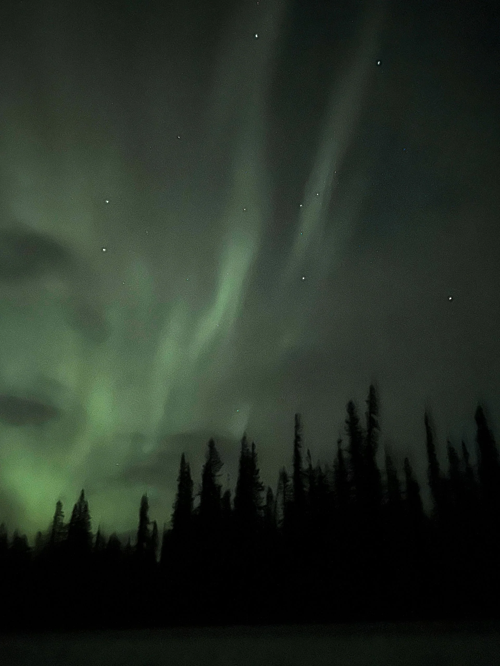 11.21.23 // The Aurora