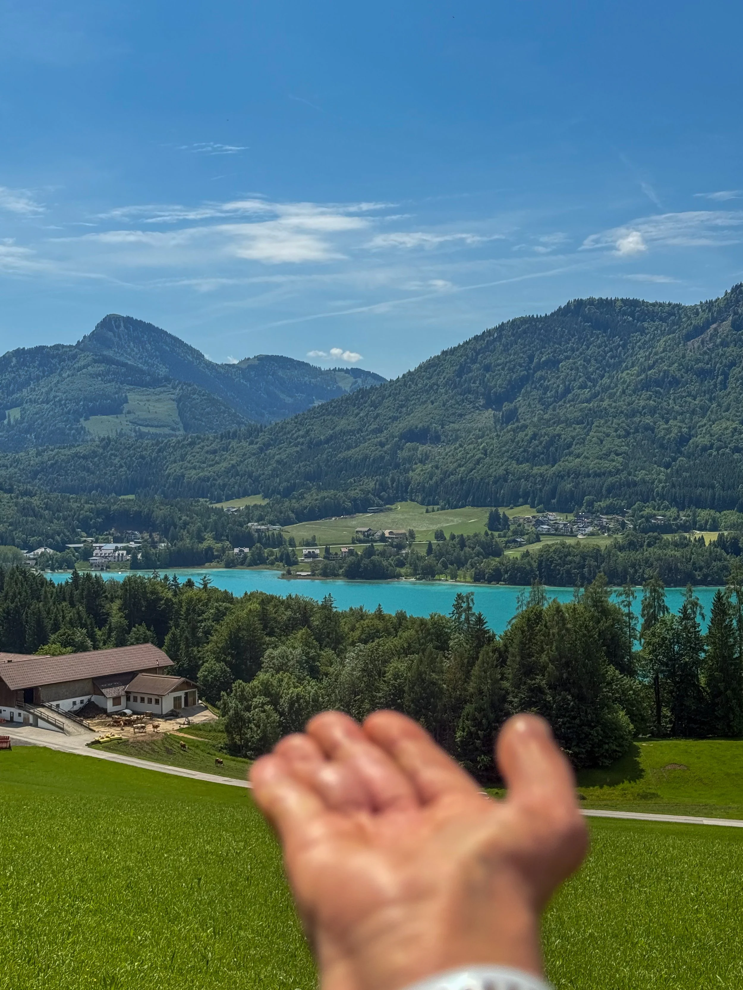 6.11.25 // A Hand for Austria