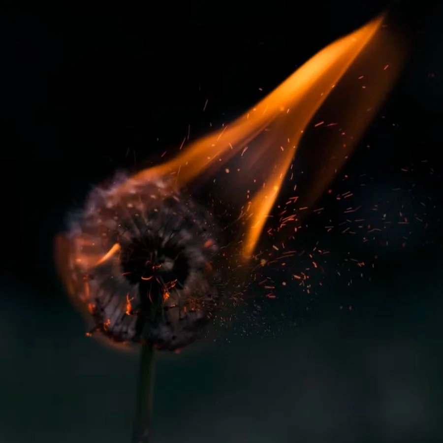 2022   "Embers" Session