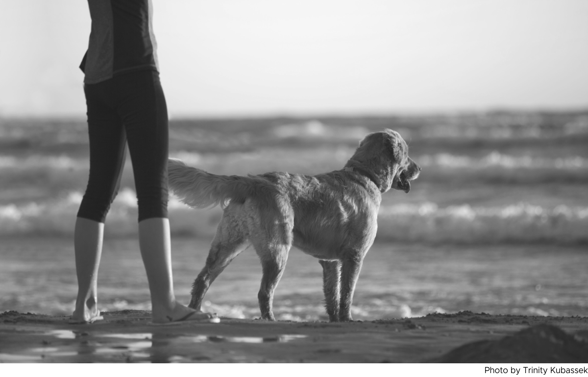 Choose This Day Whom You Will Serve