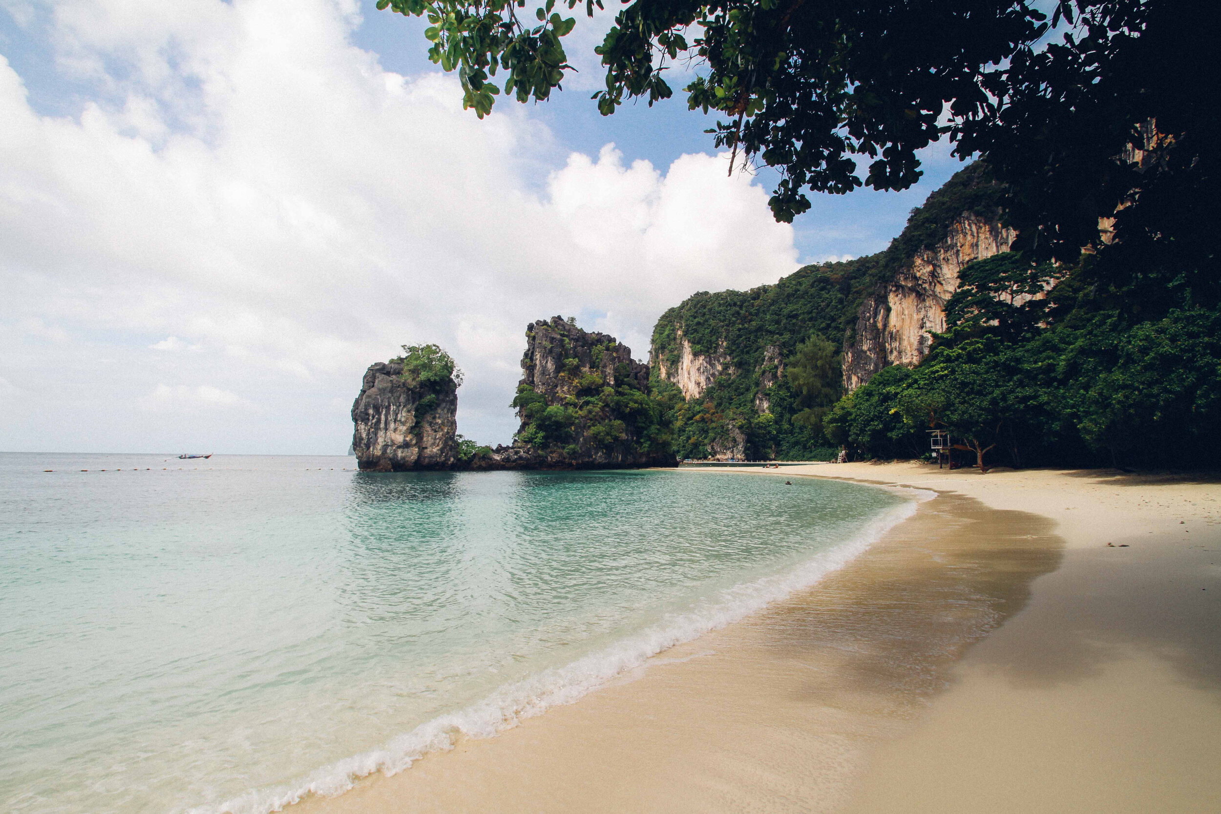 Canva - Trees Near Sea.jpg