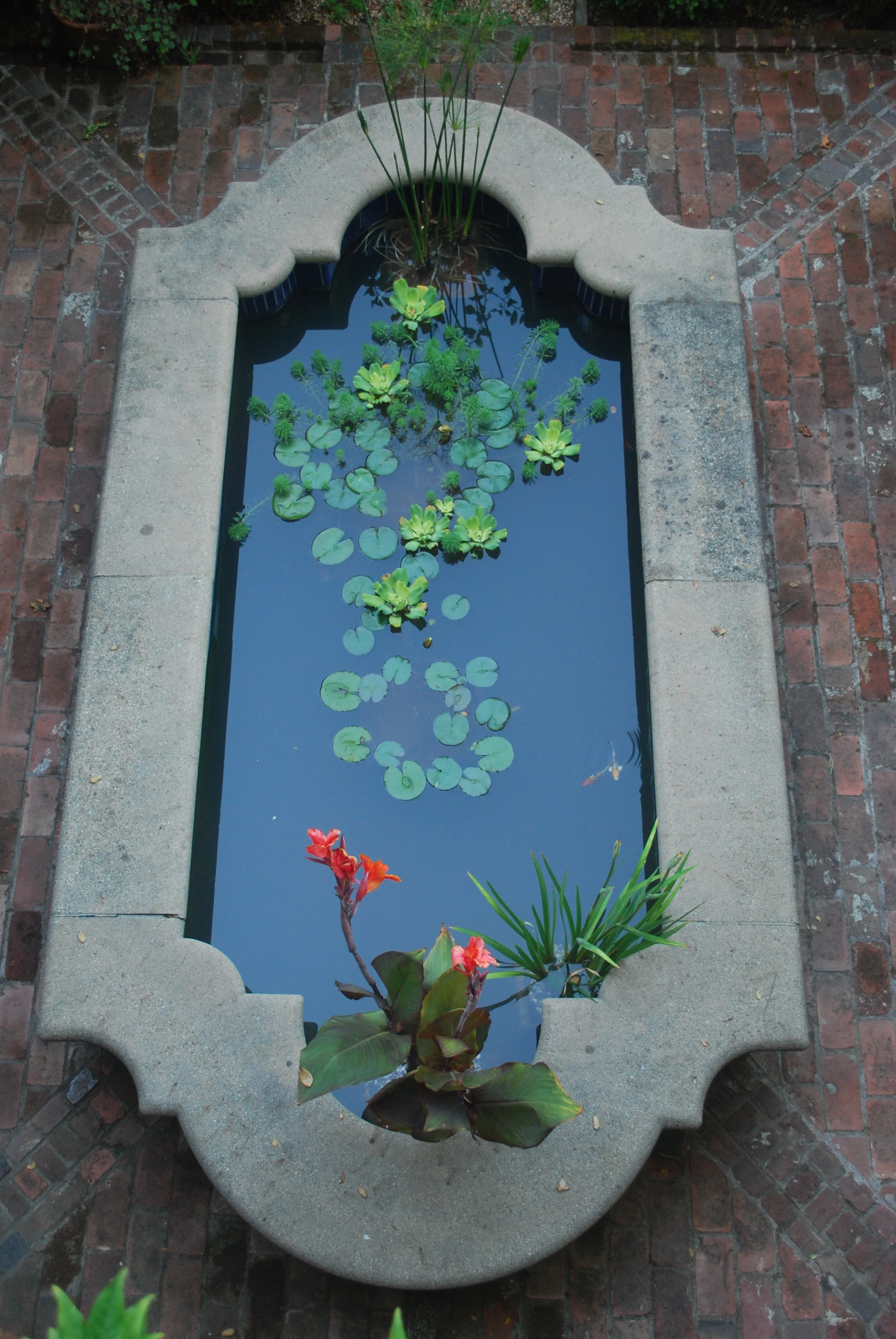 Expert concrete koi pond design and construction and state of the art ...