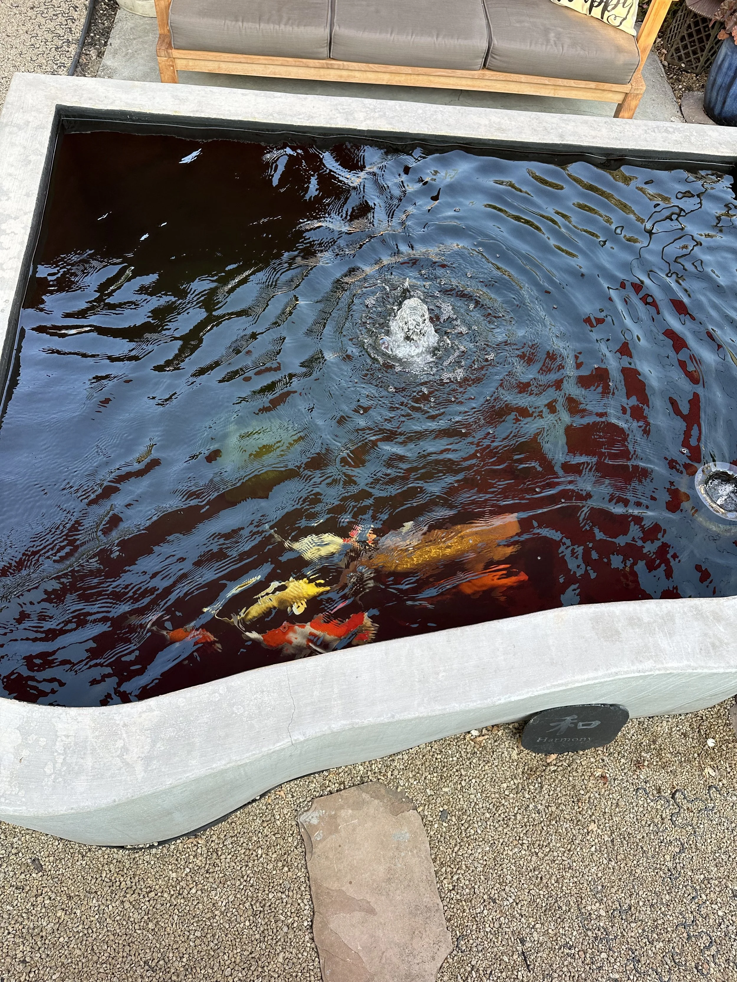 A rectangular outdoor pond with koi fish swimming, surrounded by a concrete frame, on a stone and gravel ground with outdoor furniture nearby.