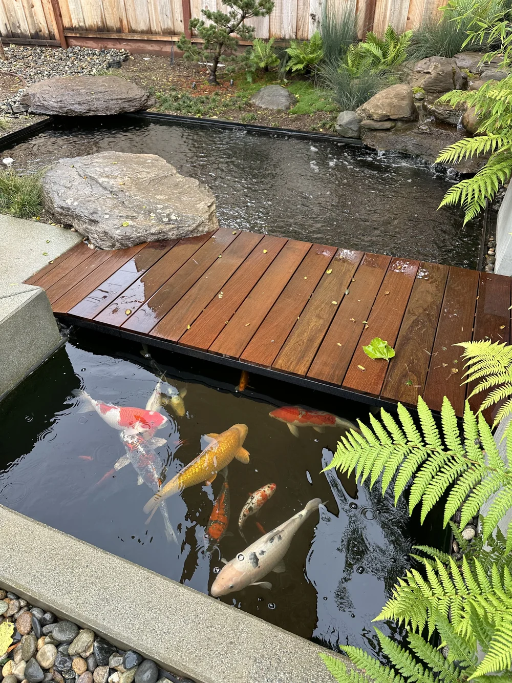 Koi Pond Design Construction