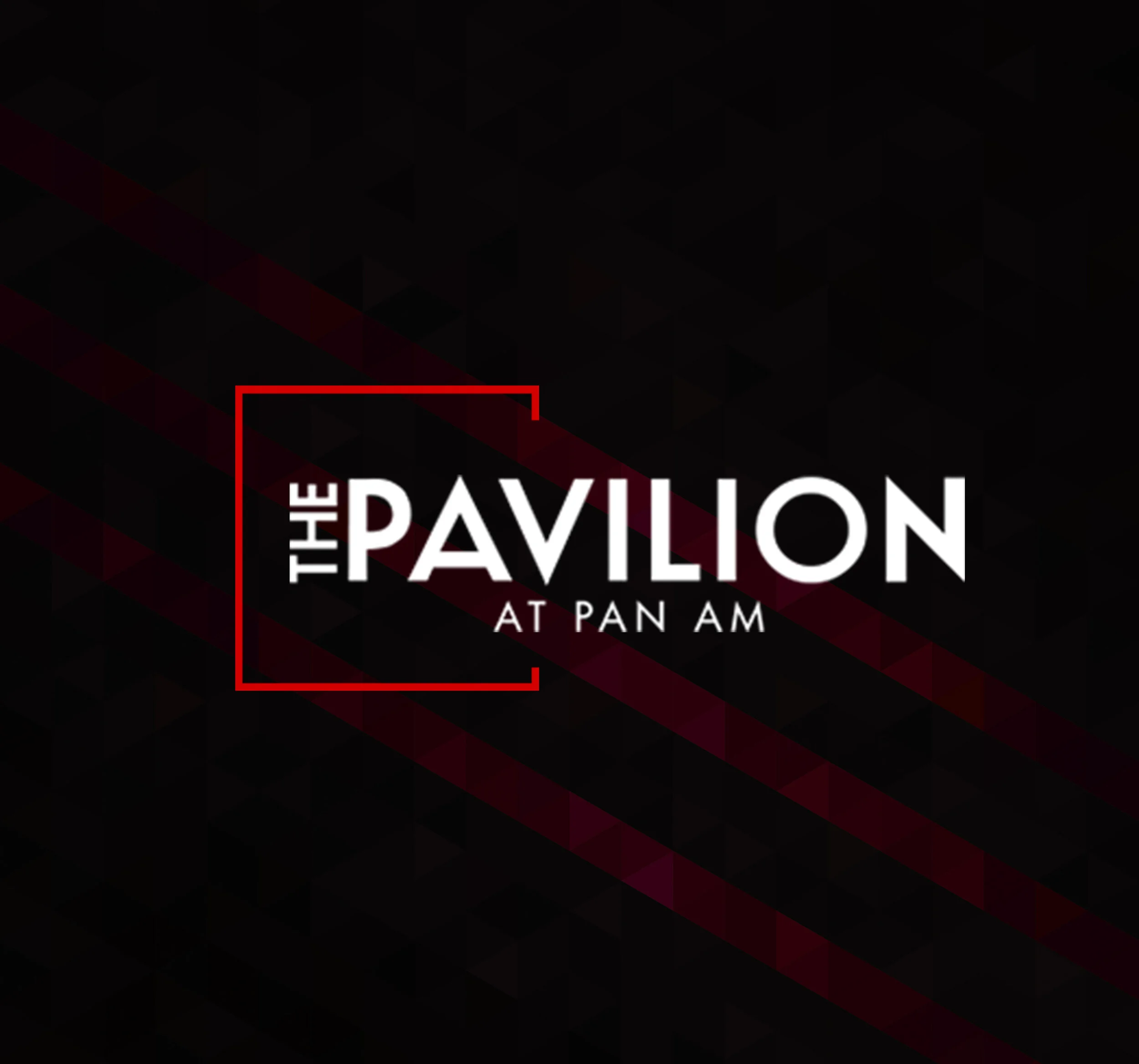 PAV BUTTON CASE MAIN .jpg