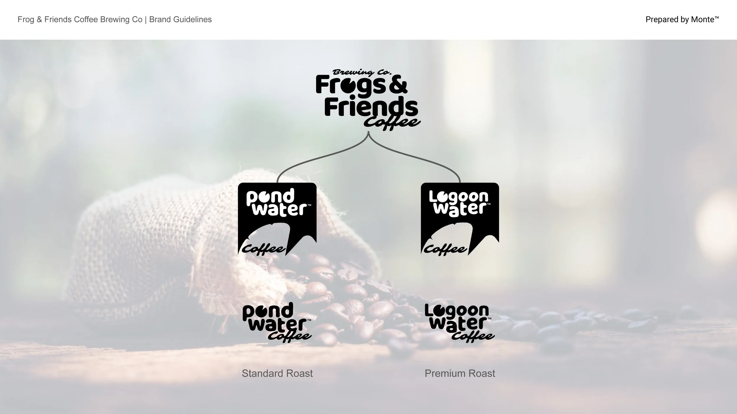 Frogs & Friends Coffee Brewing Co_Page_02.jpg