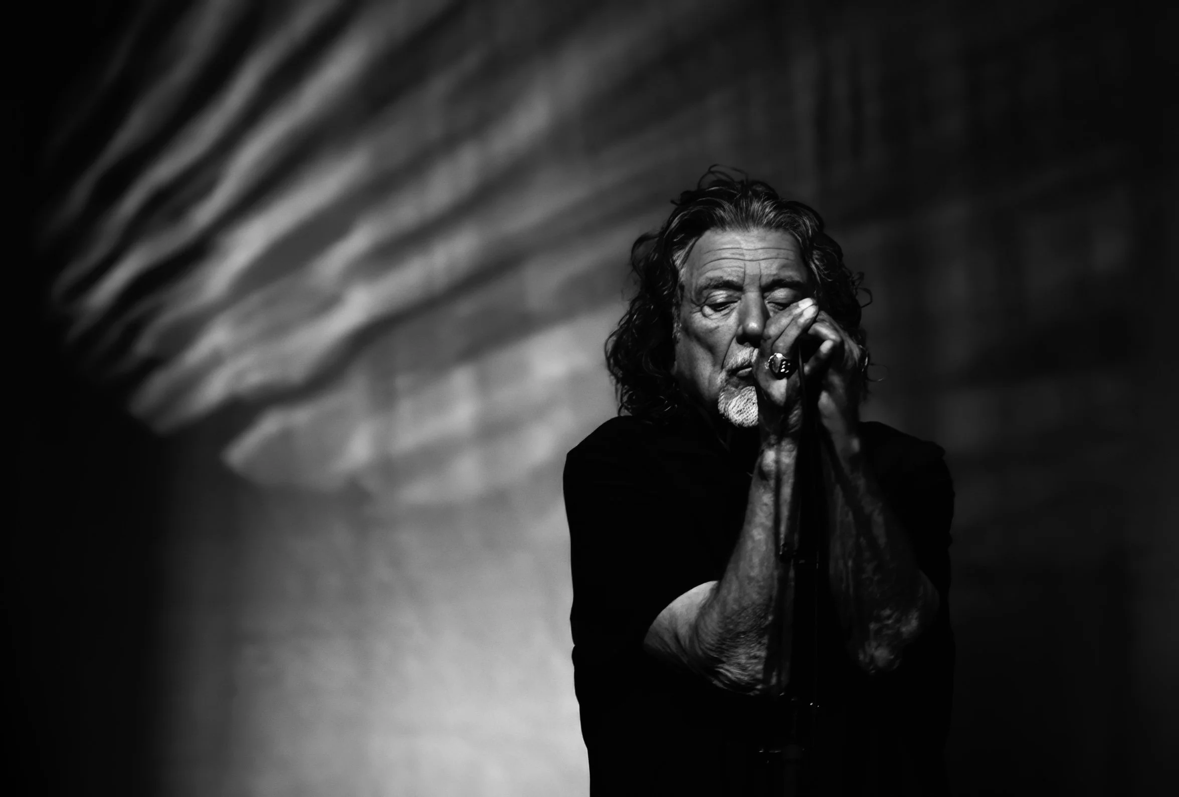 MDL_4465_RobertPlant_estelle.jpg