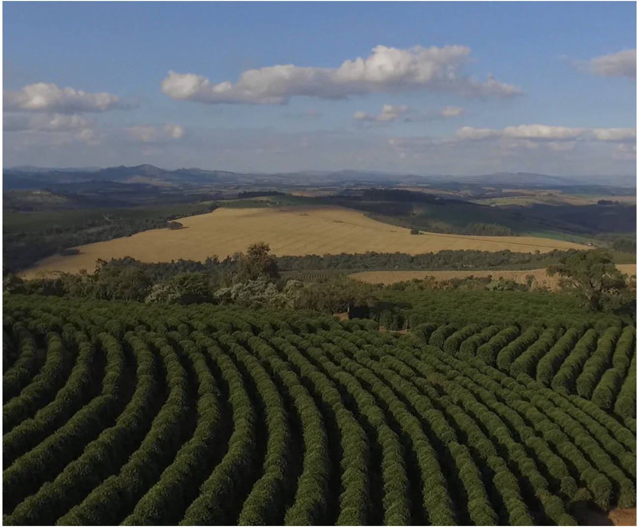 An image of the farm, Fazenda do Salto, in Sul de Minas Brazil