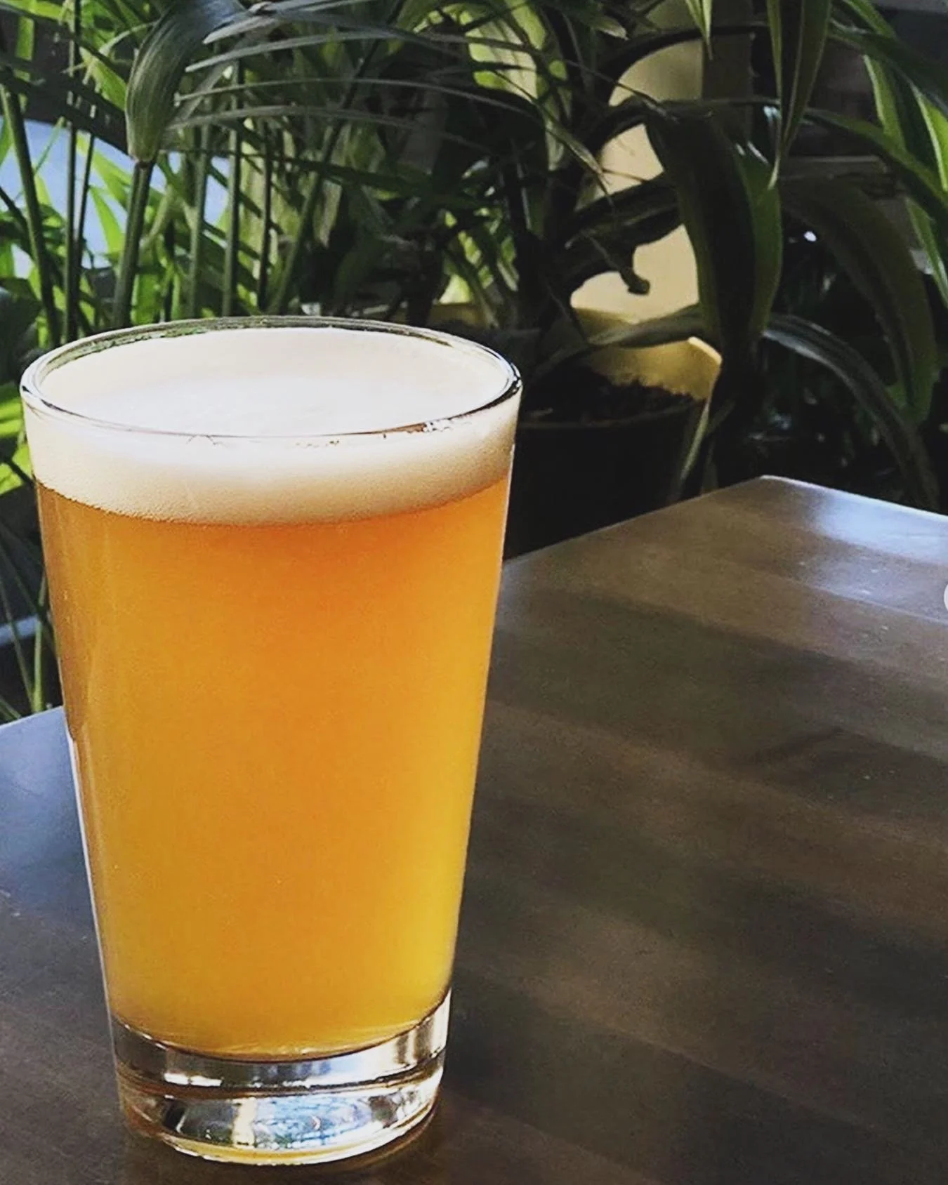 Join us for $12.99 Fish &amp; Chips (one piece) + $4.99 9oz crisp pils every Thursday. 🐟🍟🍻