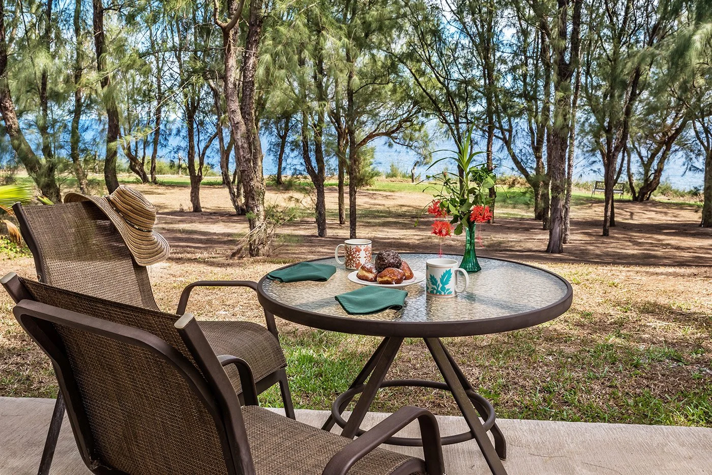 hawaii_island_yoga_retreat_bungalow_lanai.jpeg (Copy)