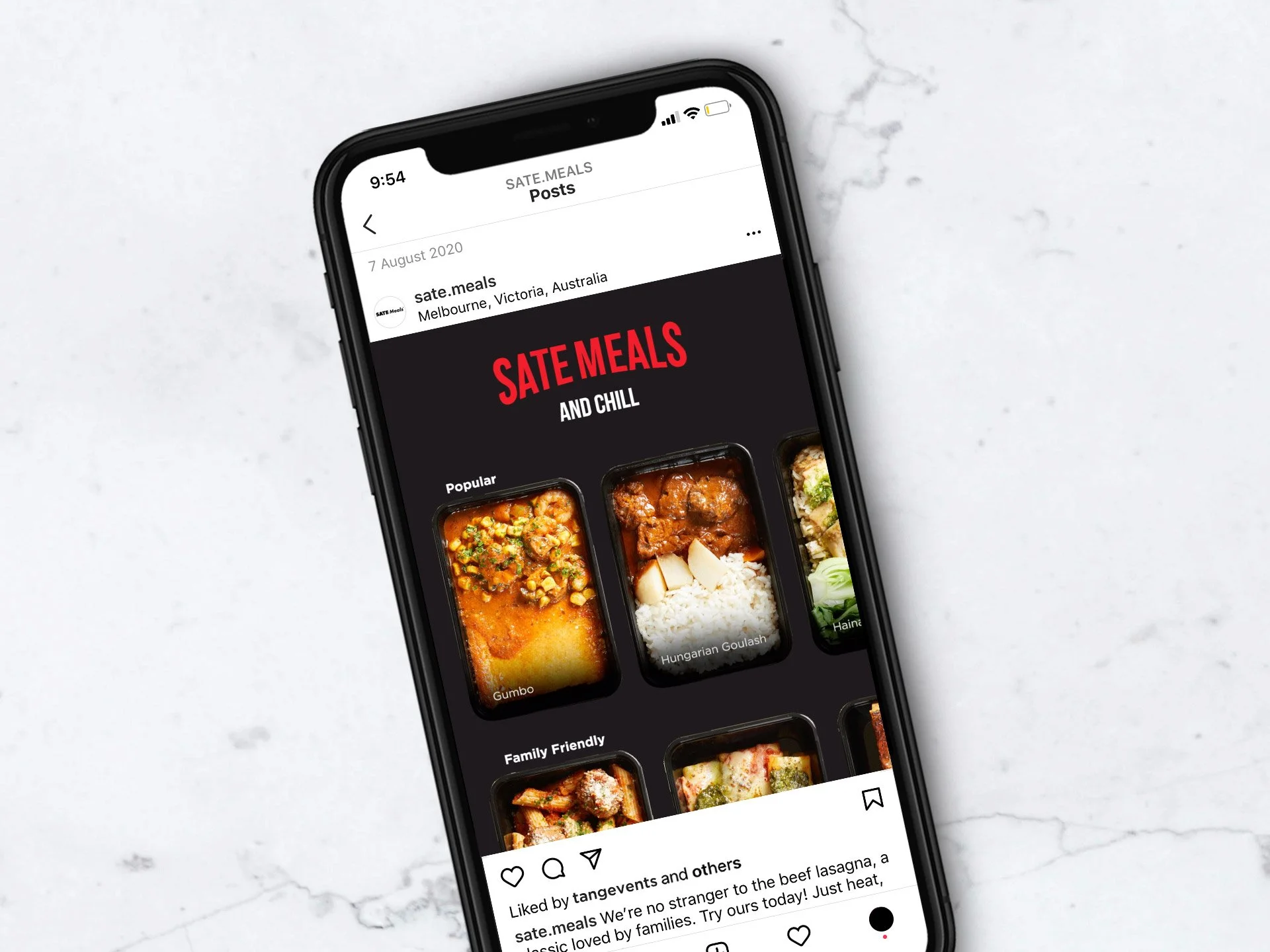 NP_Portfolio_SateMeals_SateNChill_.jpg