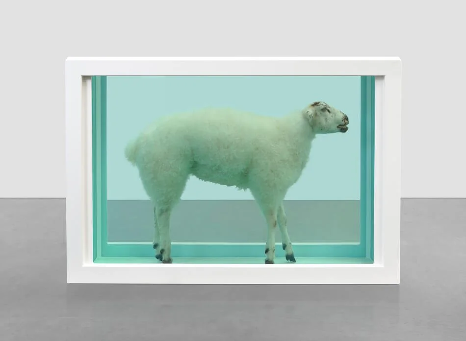 damien_hirst_005.jpg