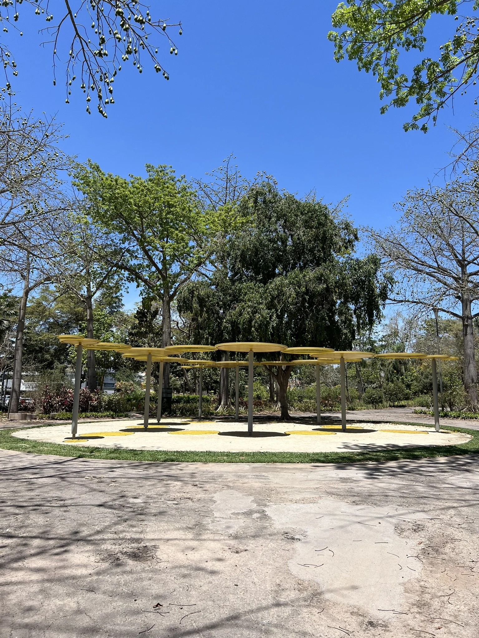 IMG_0329.JPEG
