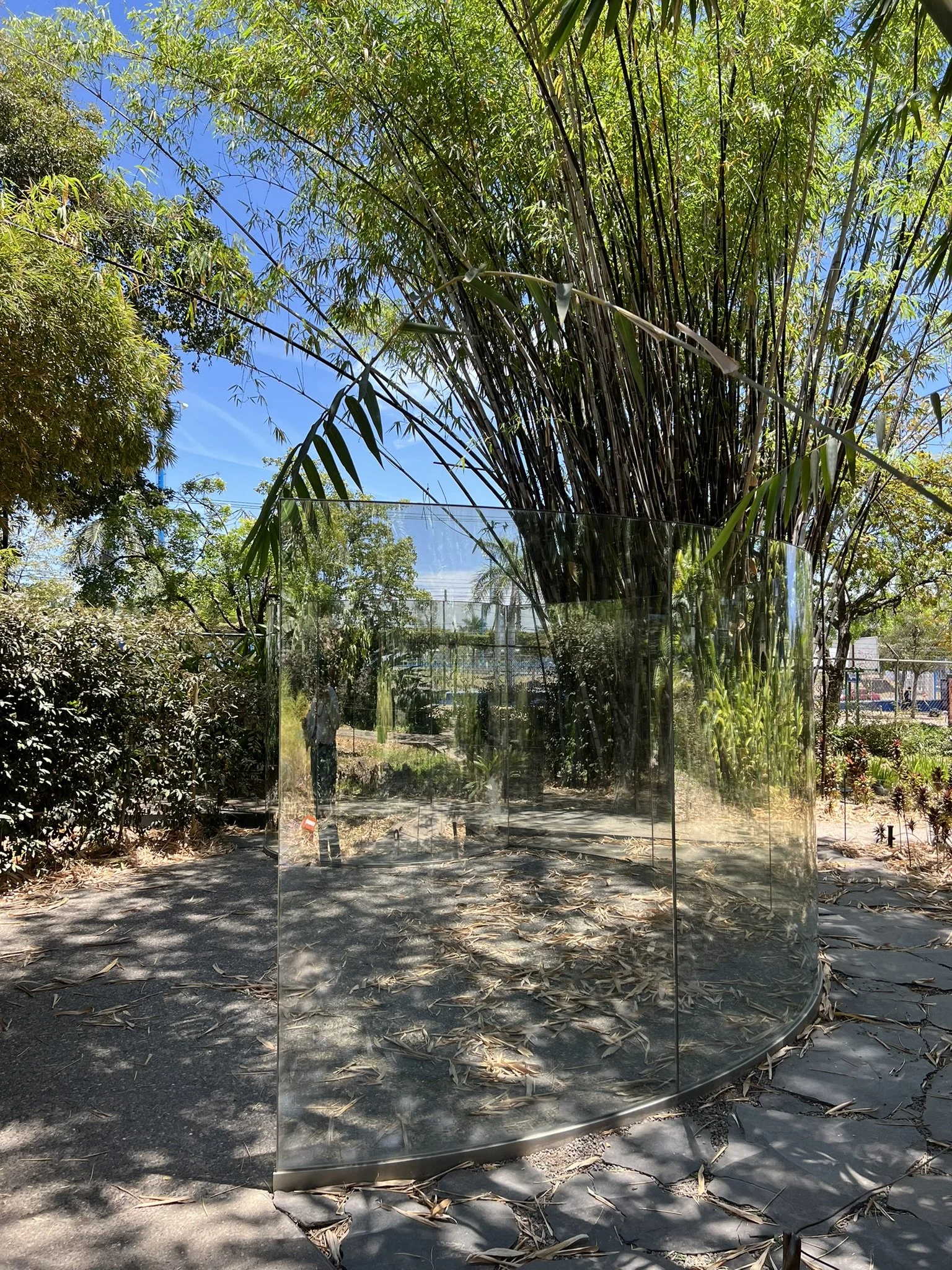 IMG_0385.JPEG