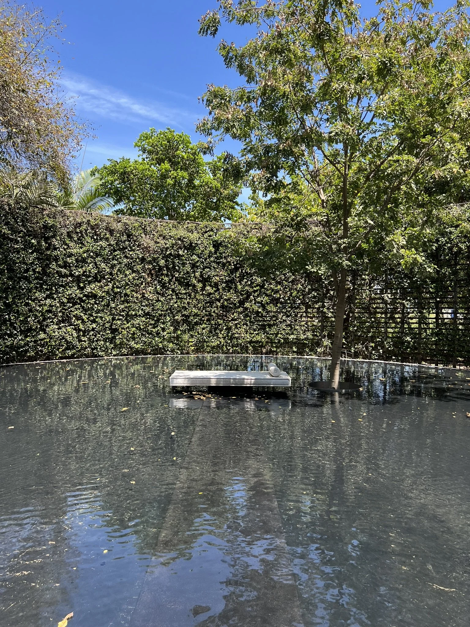IMG_0397.JPEG