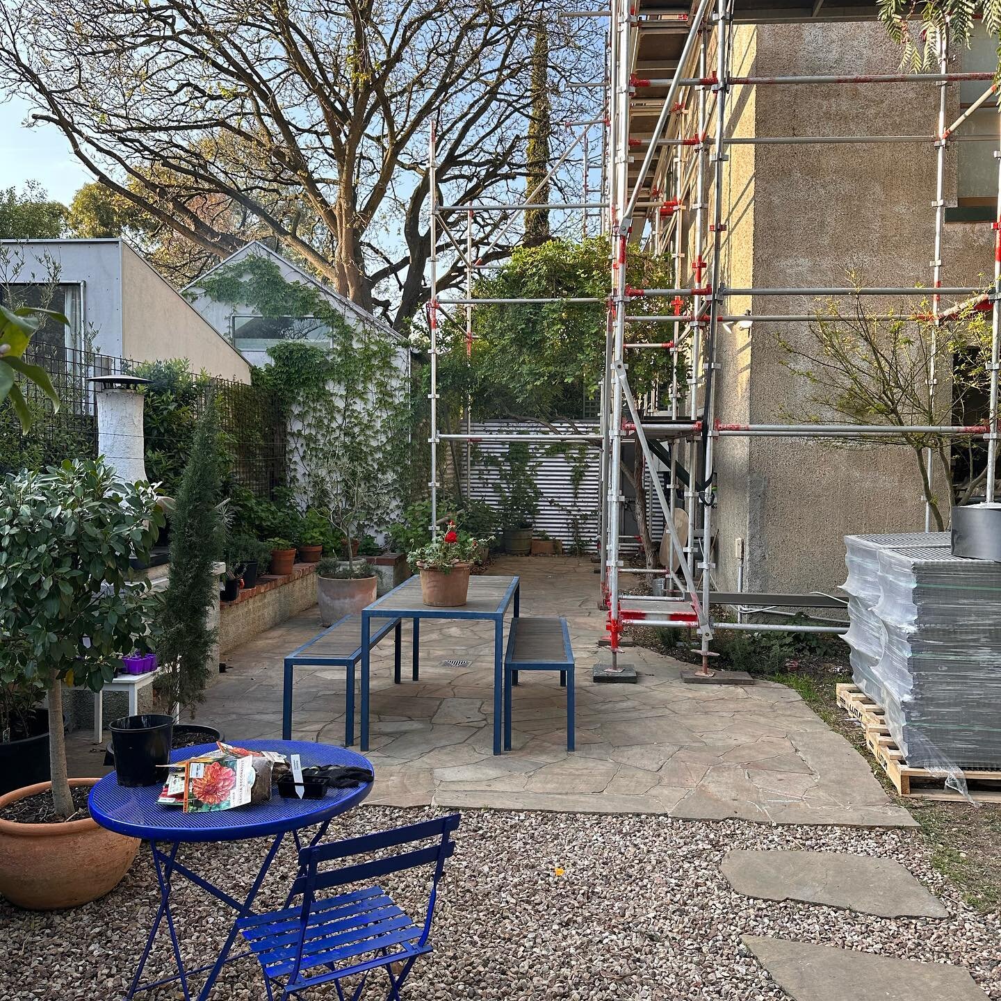 Beautiful beautiful spring in our garden.

Hydrangea leaves have arrived, Boston ivy is covering the cold walls. 

Seedlings are sprouting and I&rsquo;m hoping to plant some dahlia bulbs for the end of summer blooms.

The roof is delayed; so it appea