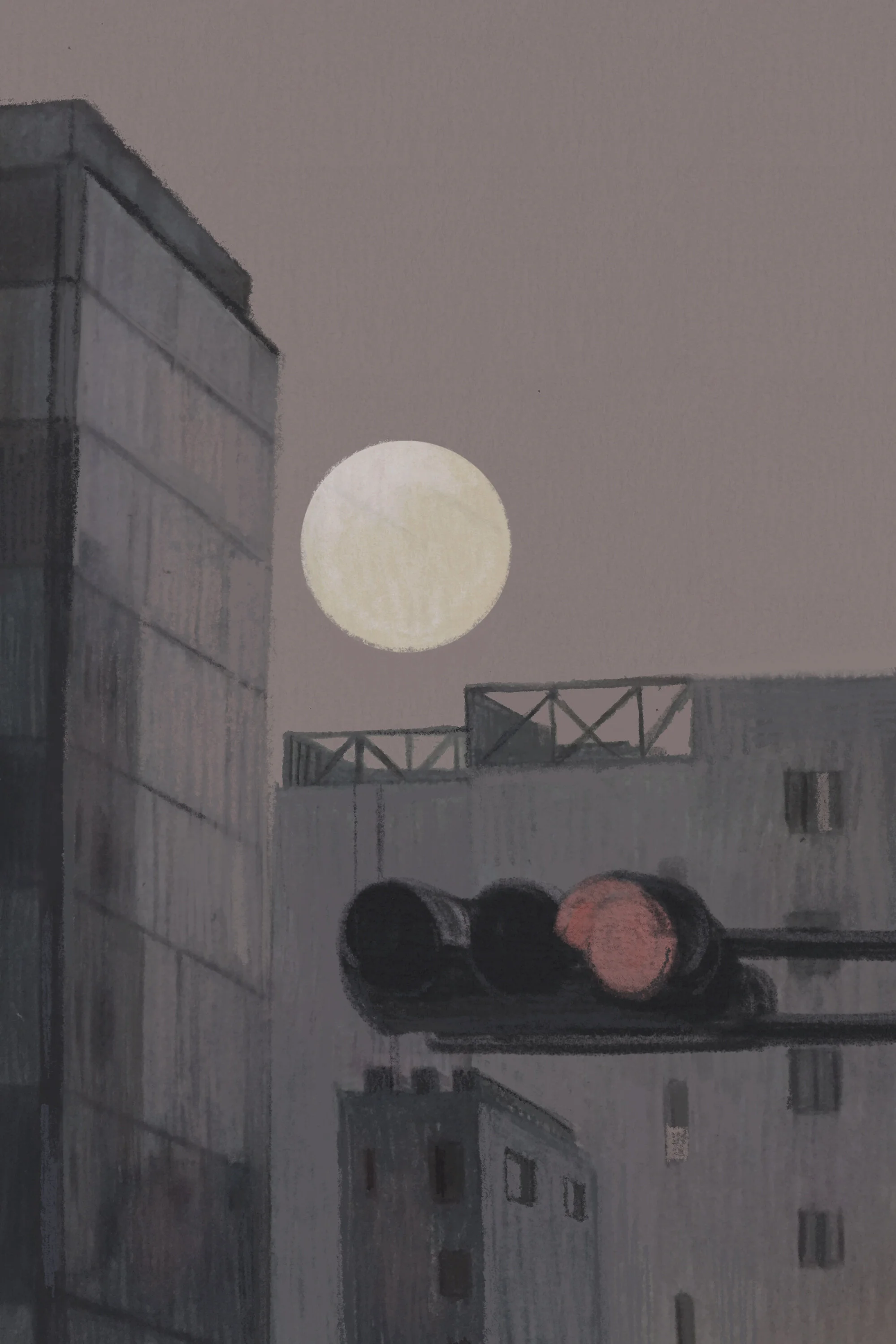 Moonrise Kingdom副本.JPG