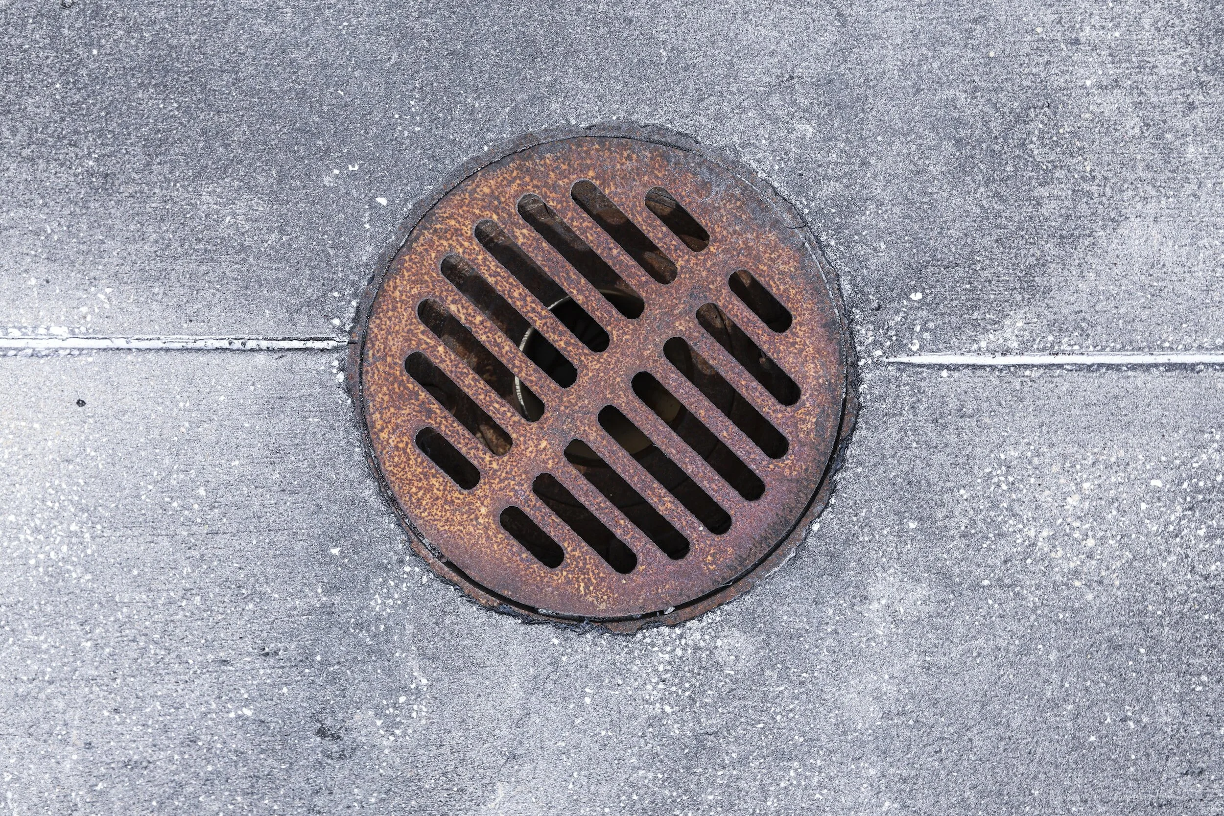 Main Sewer Clogs