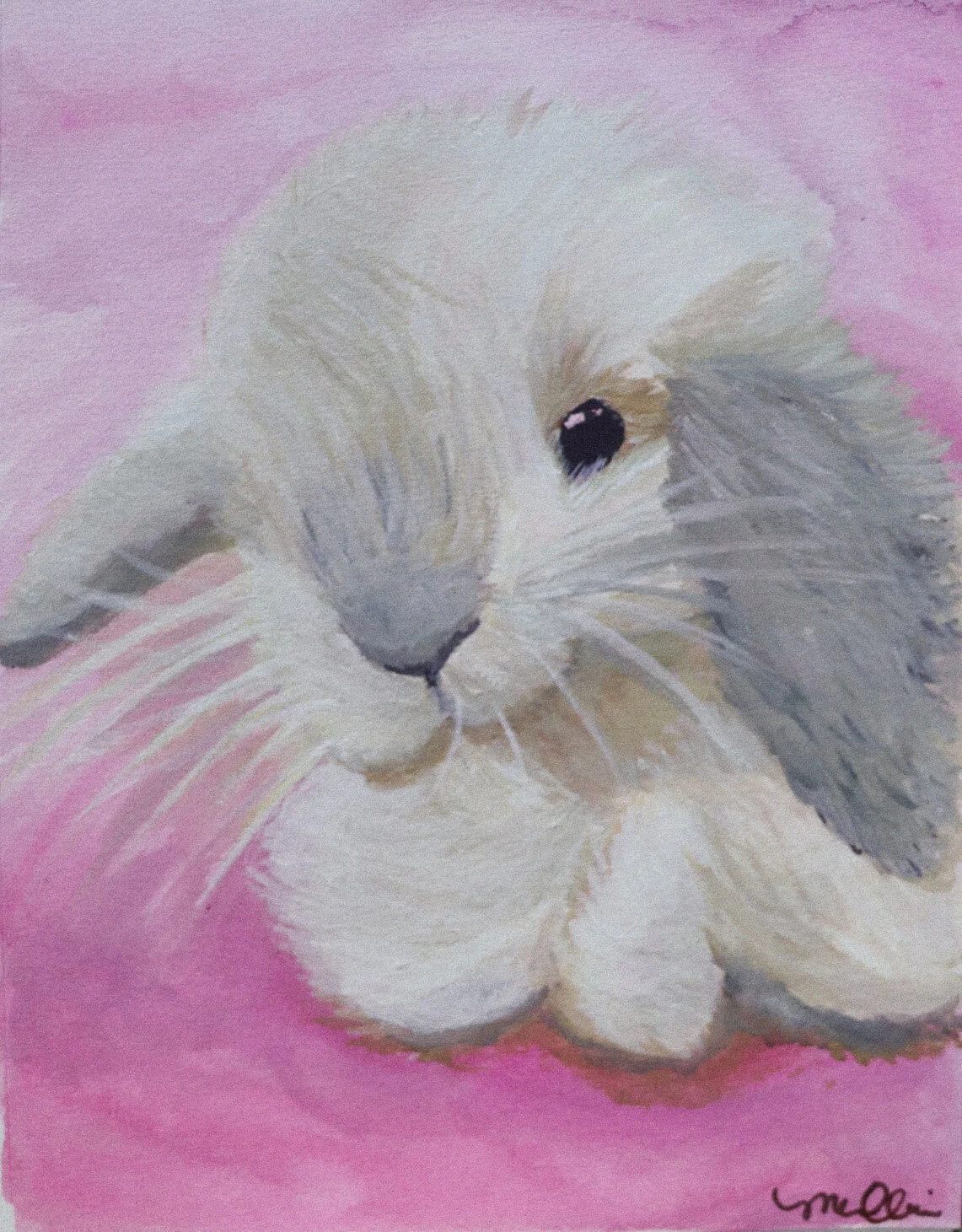 bunny2.jpg