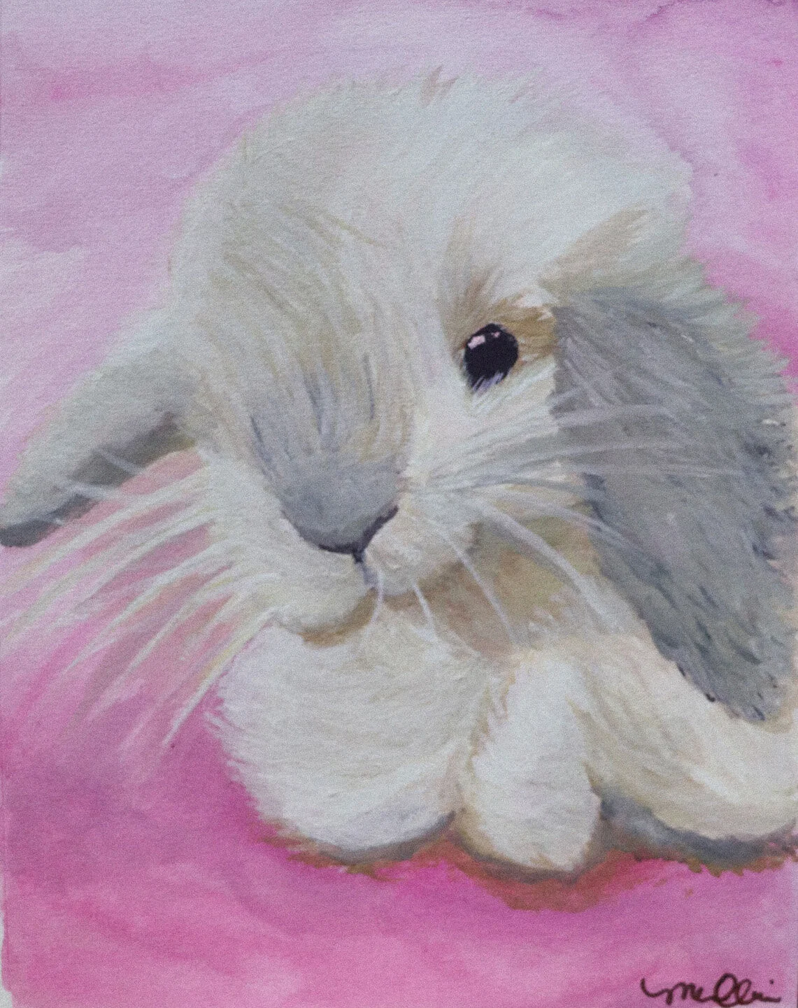 bunny.jpg