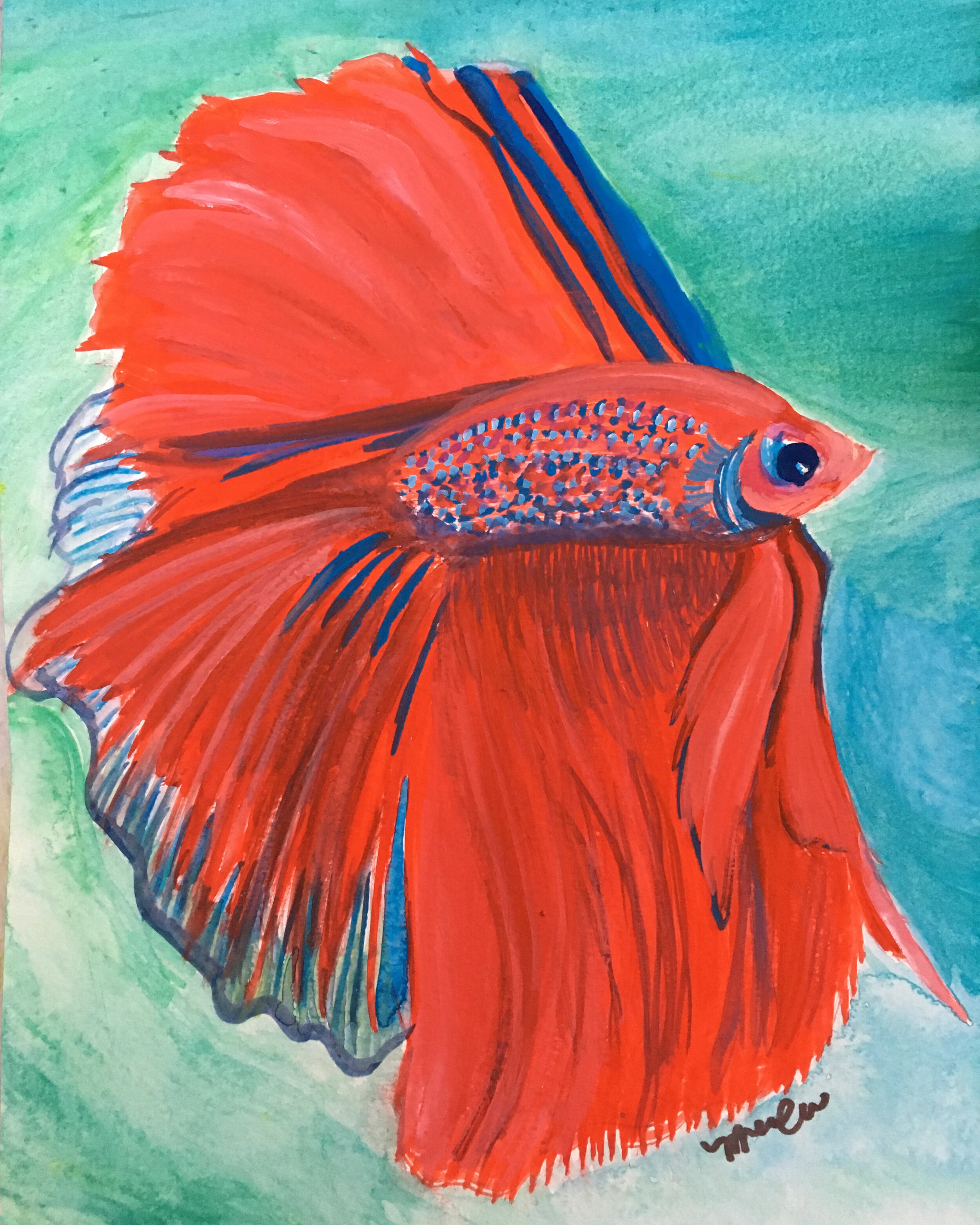 Red Betta Fish