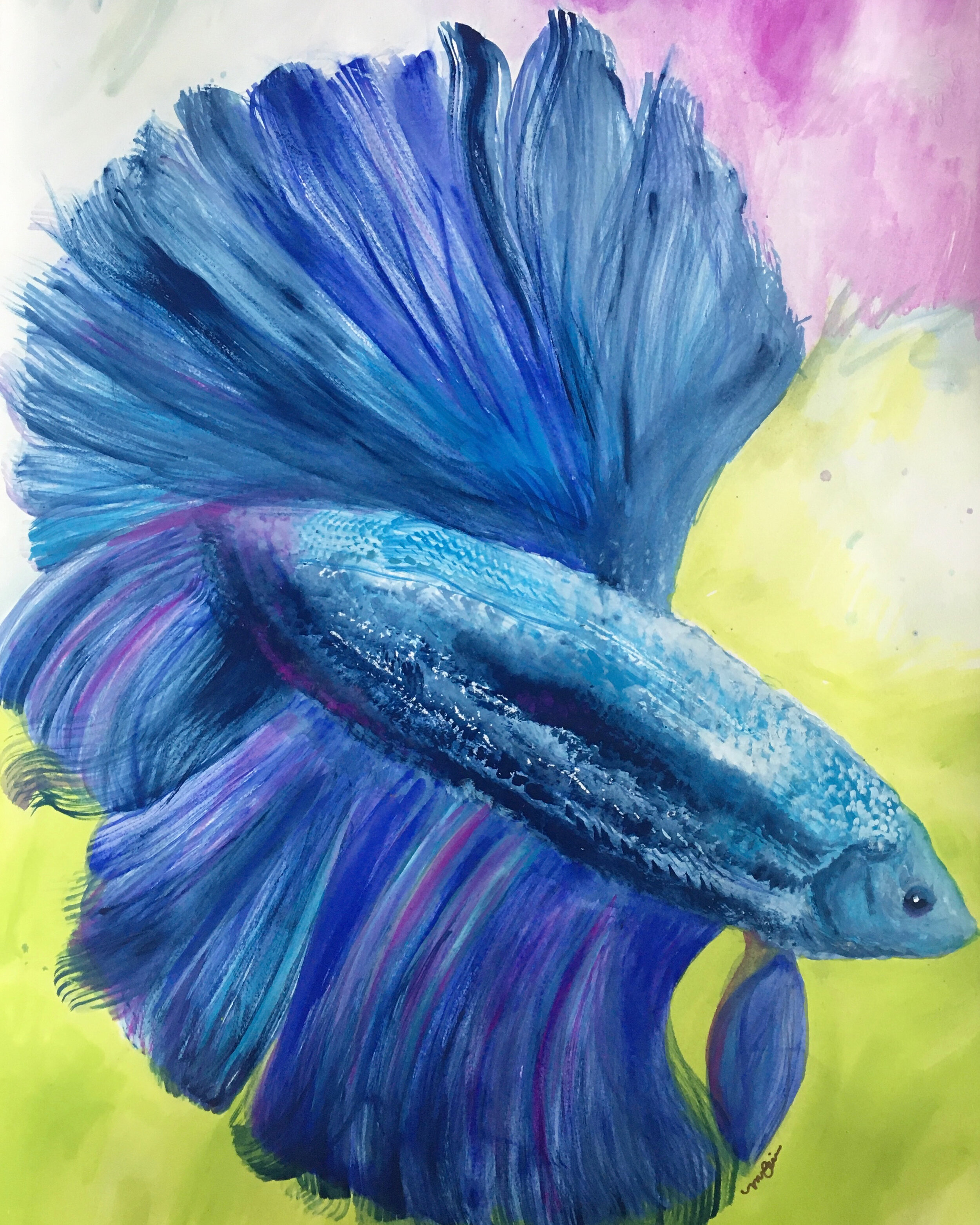 Blue Betta Fish
