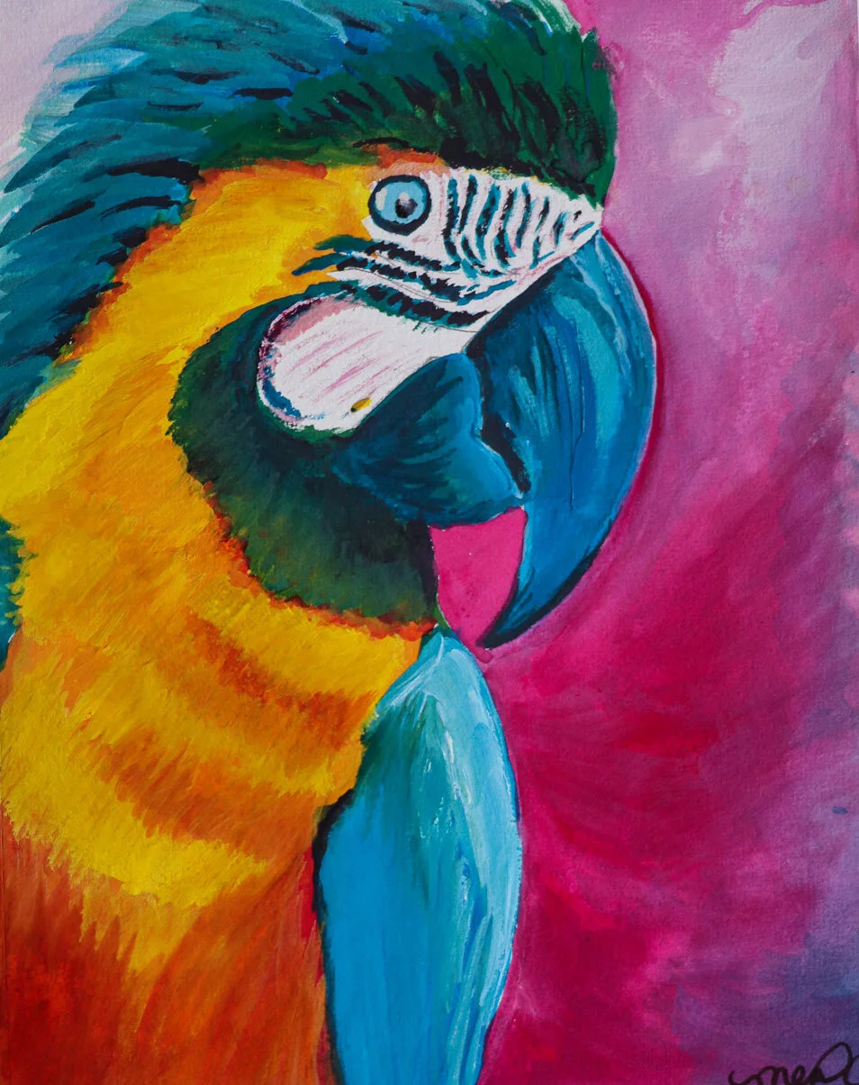 Parrot.jpg