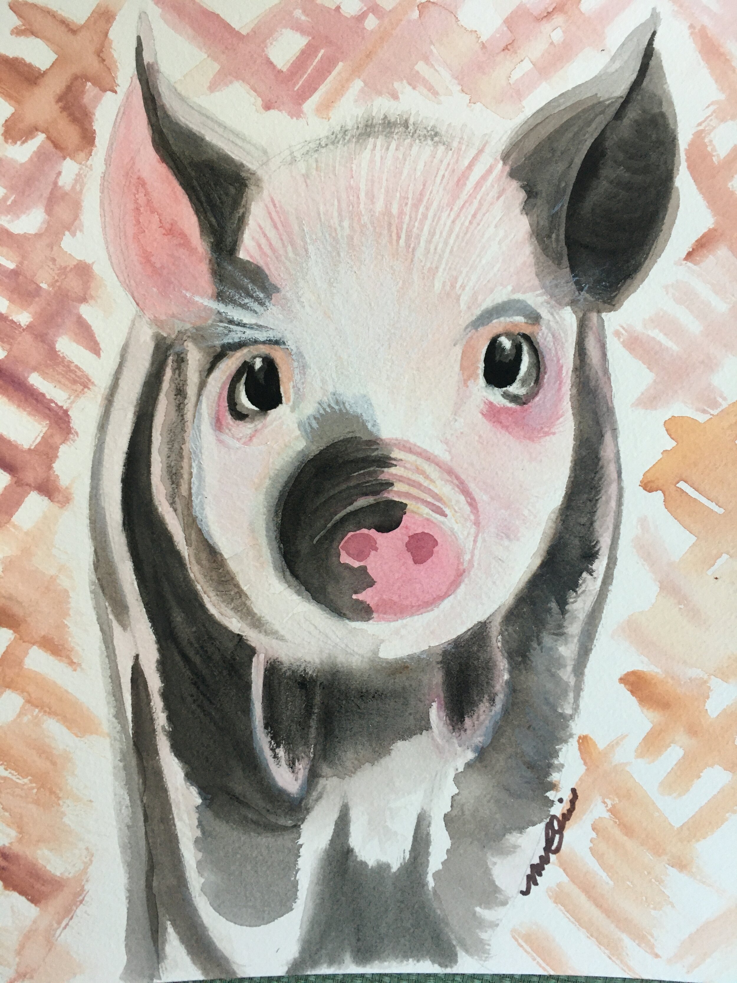 Pig