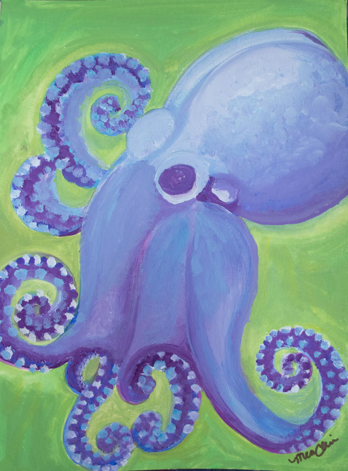 Octopus