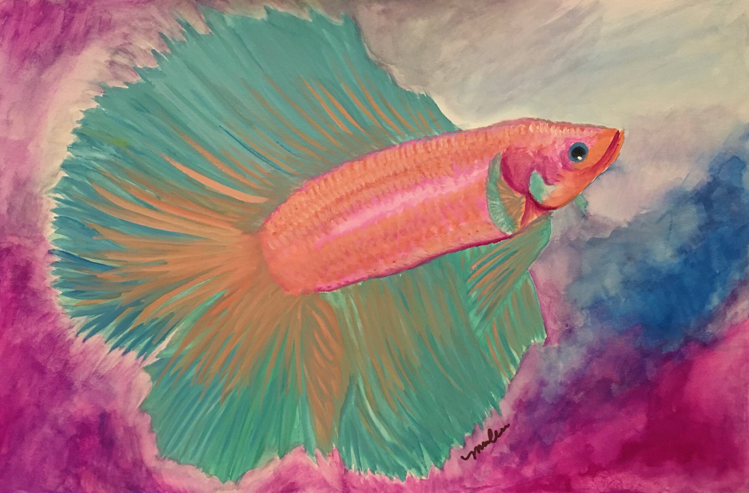 Turquoise Betta Fish