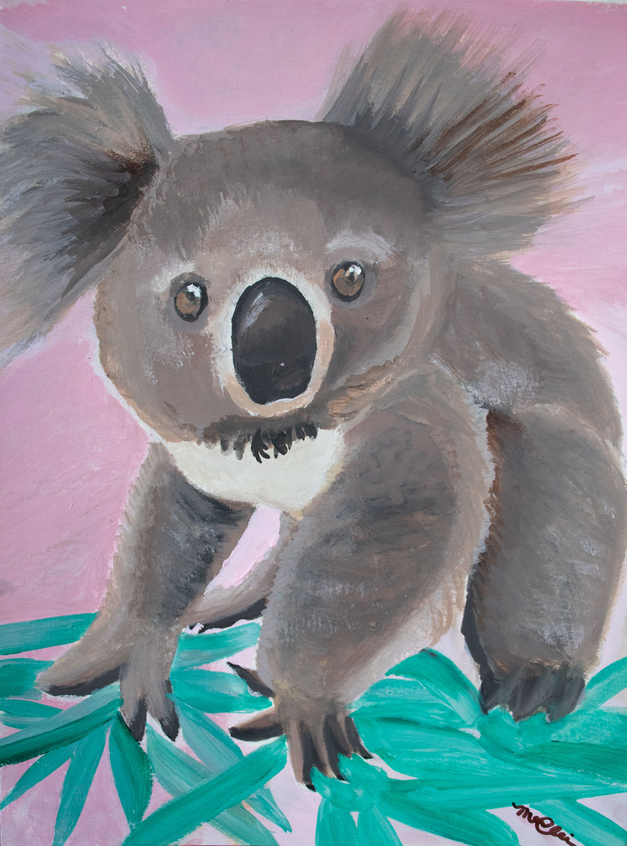 Parrot and Koala Postcards