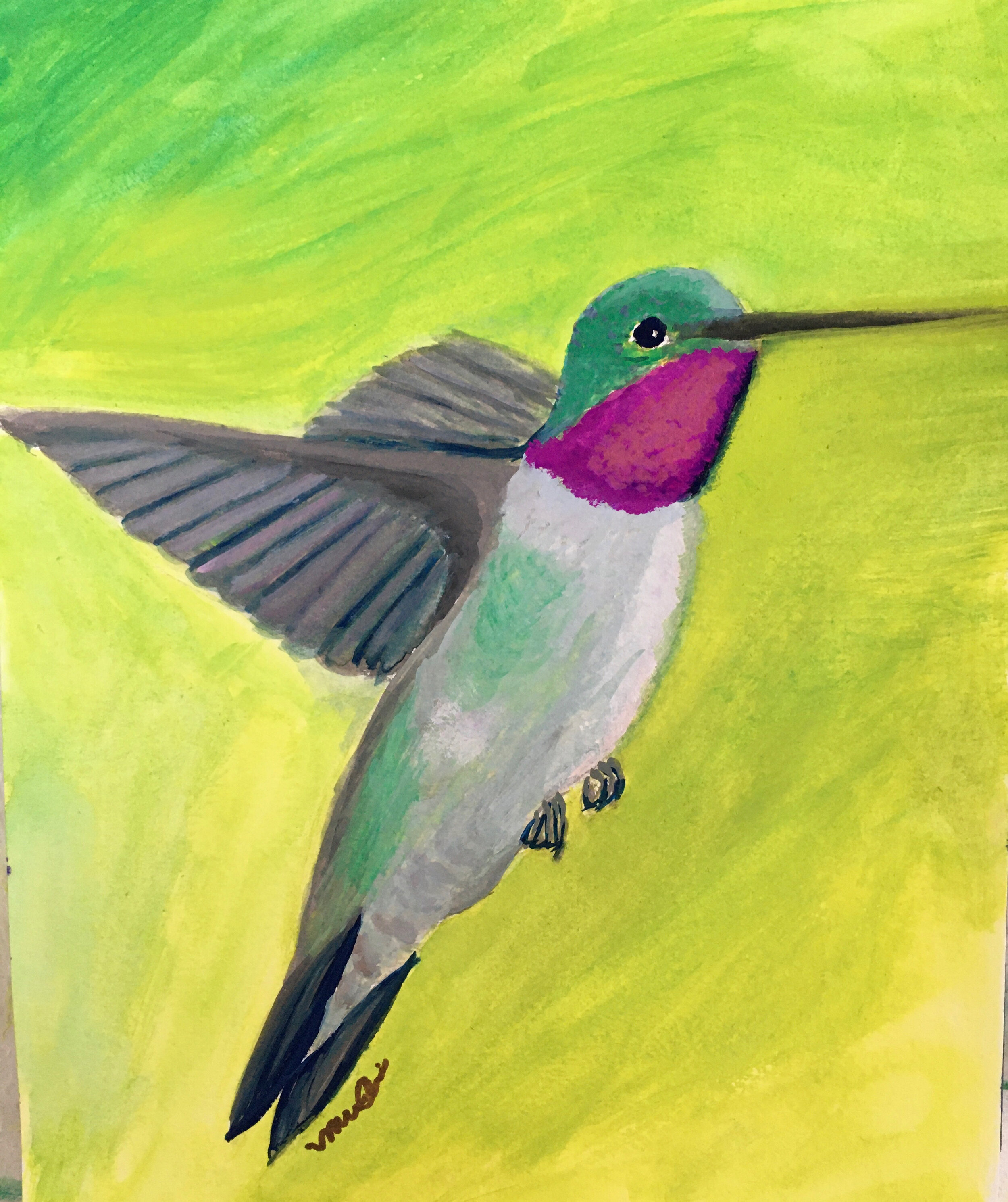 Hummingbird.jpg