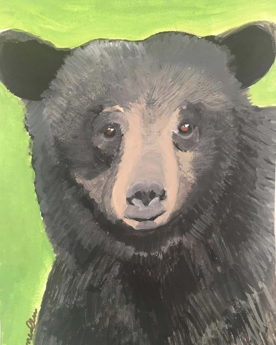 Black_Bear.png