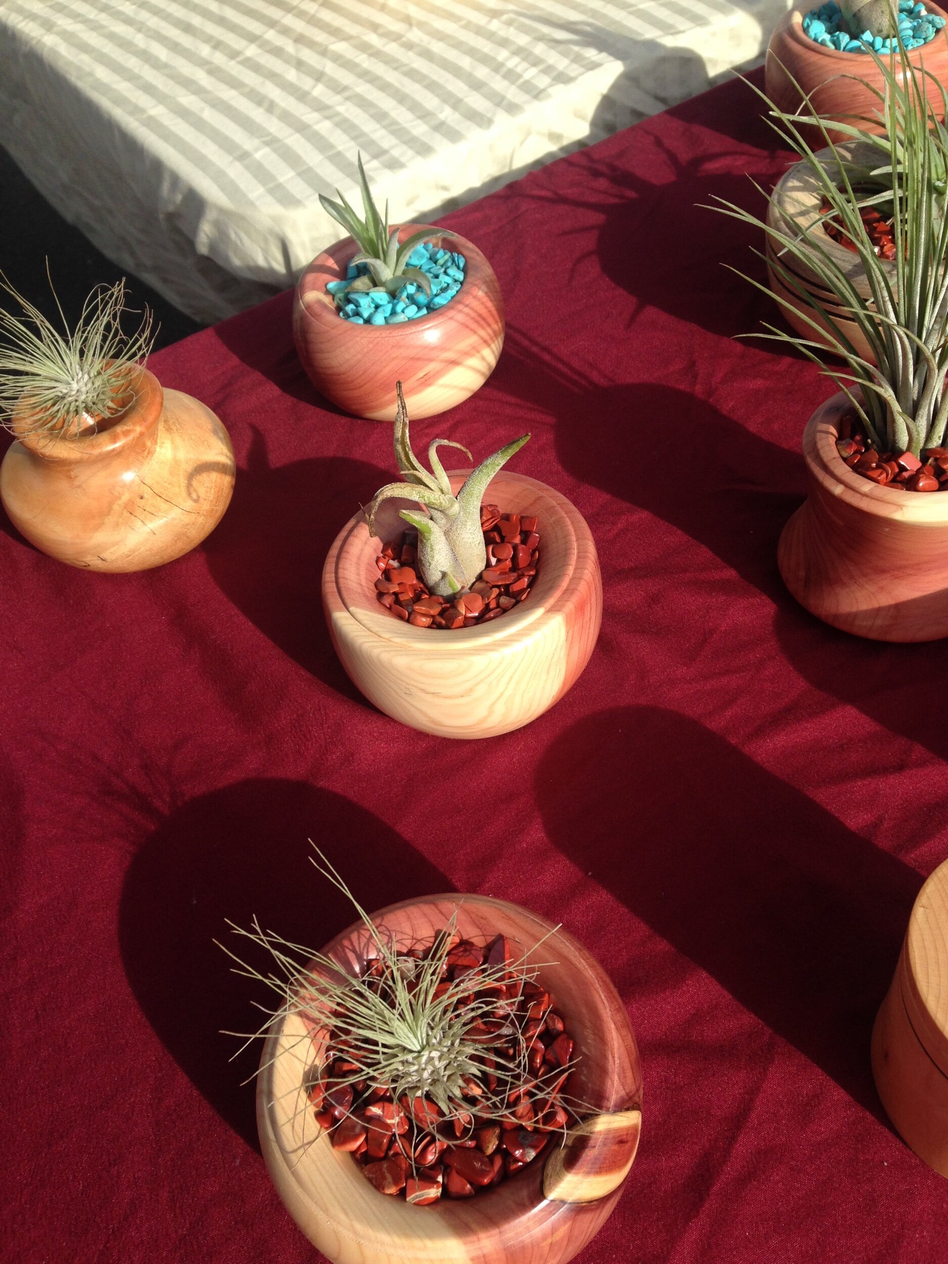 Cedar air plant vessels
