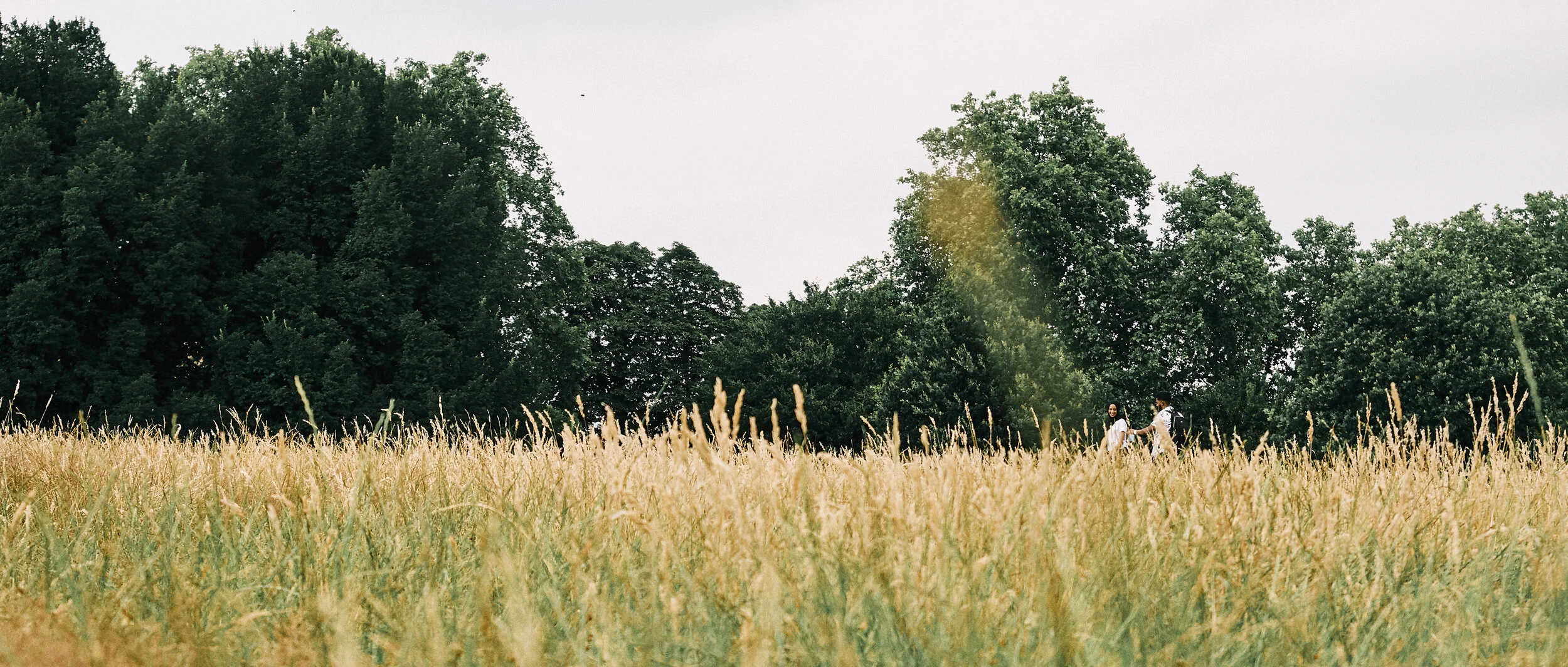  the above were all digital edits  here are some scans of the real film 