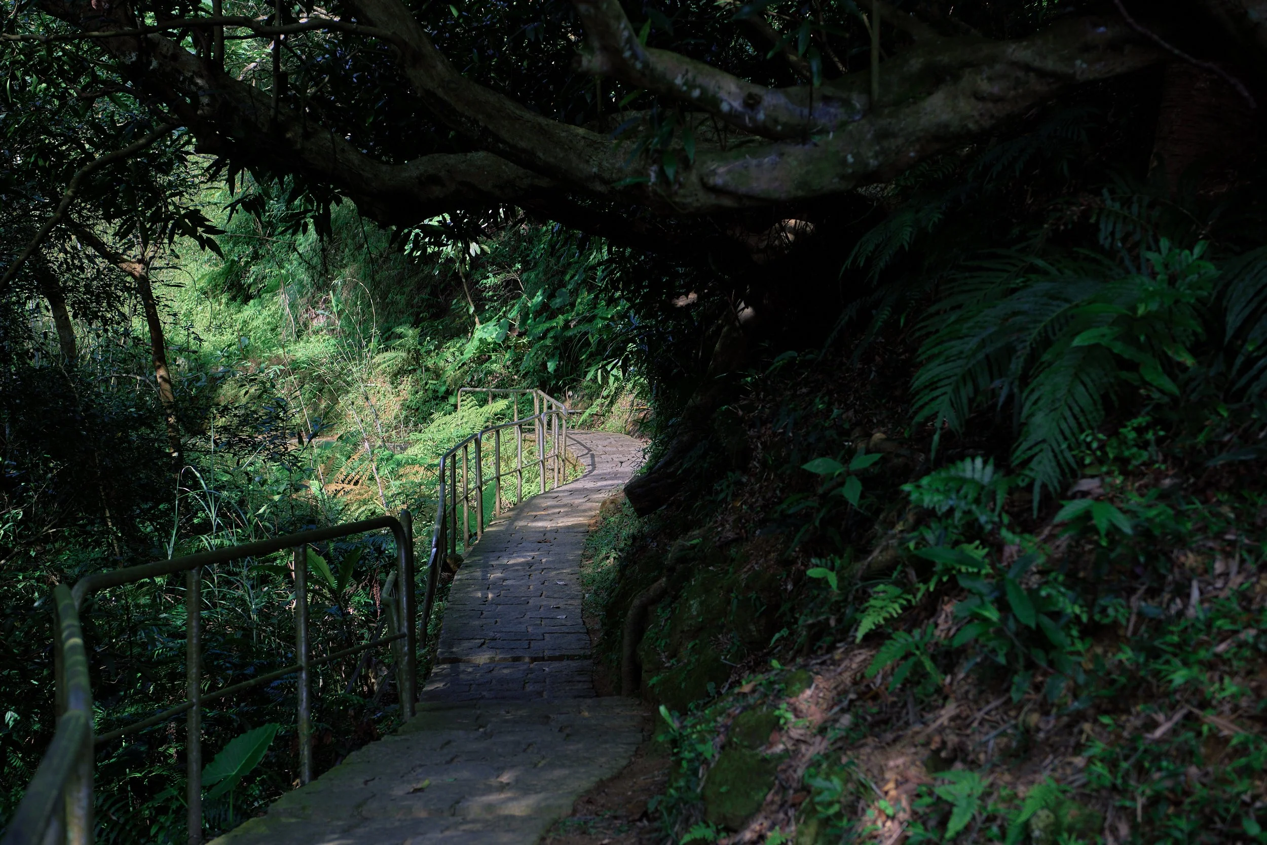 _DSC7255- JPEG 2500px for Squarespace .jpg