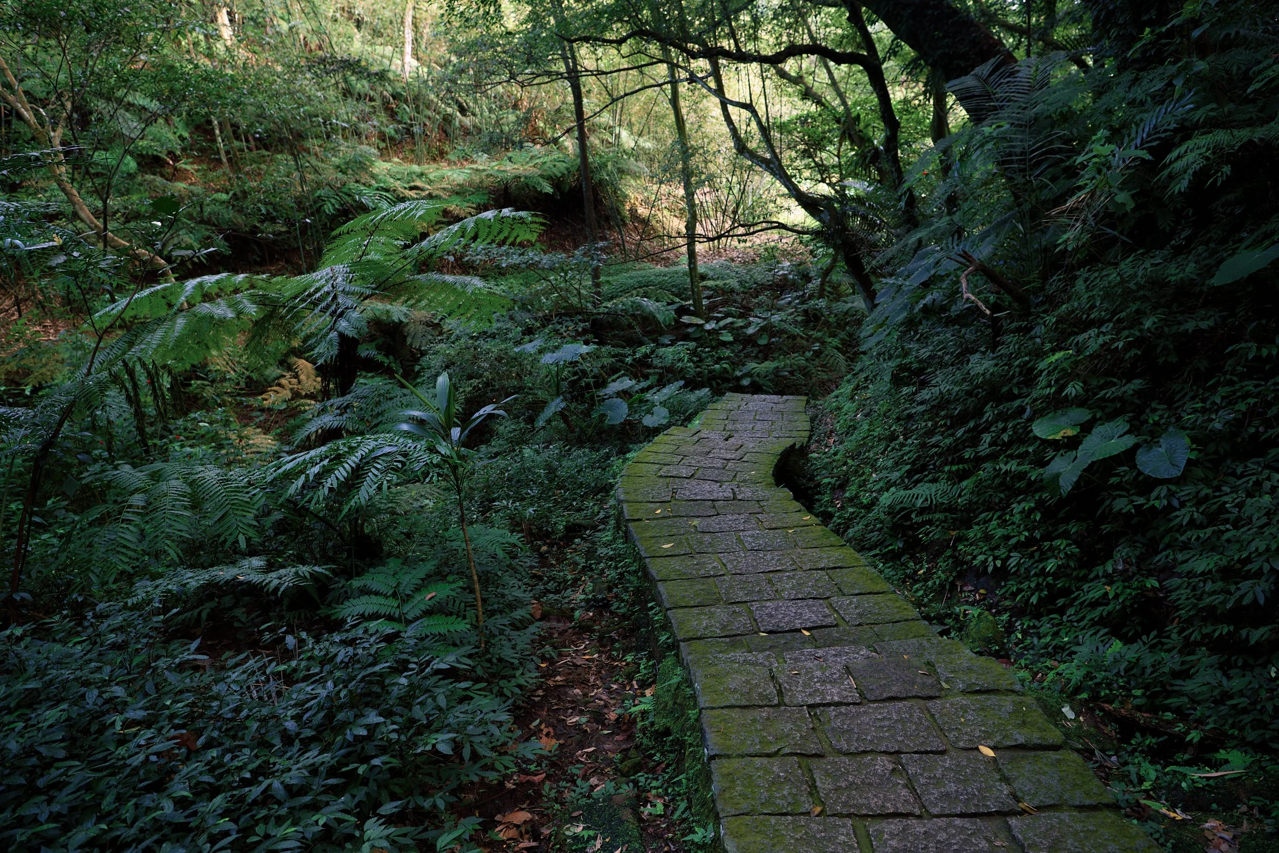 _DSC7260- JPEG 2500px for Squarespace .jpg