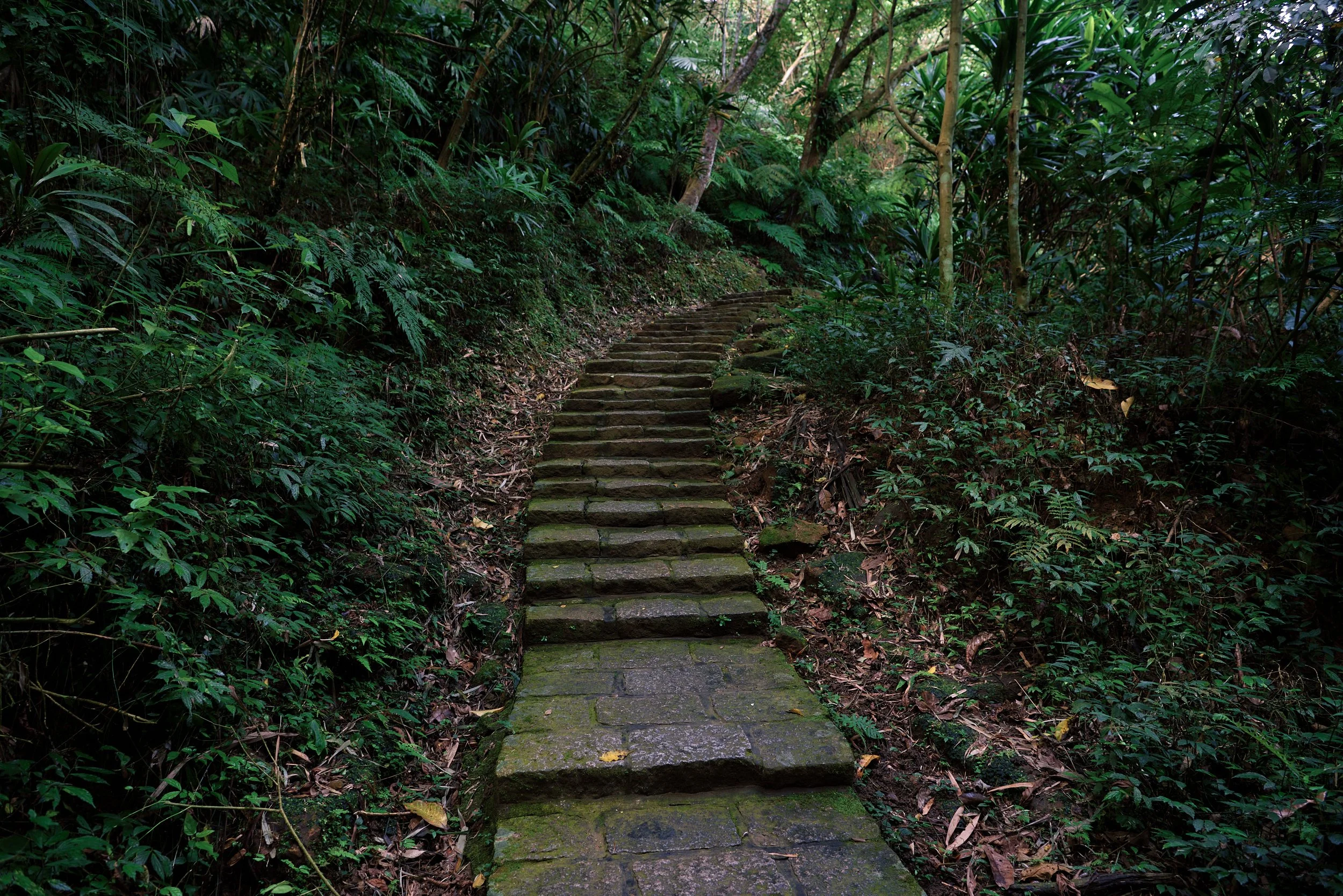 _DSC7261- JPEG 2500px for Squarespace .jpg