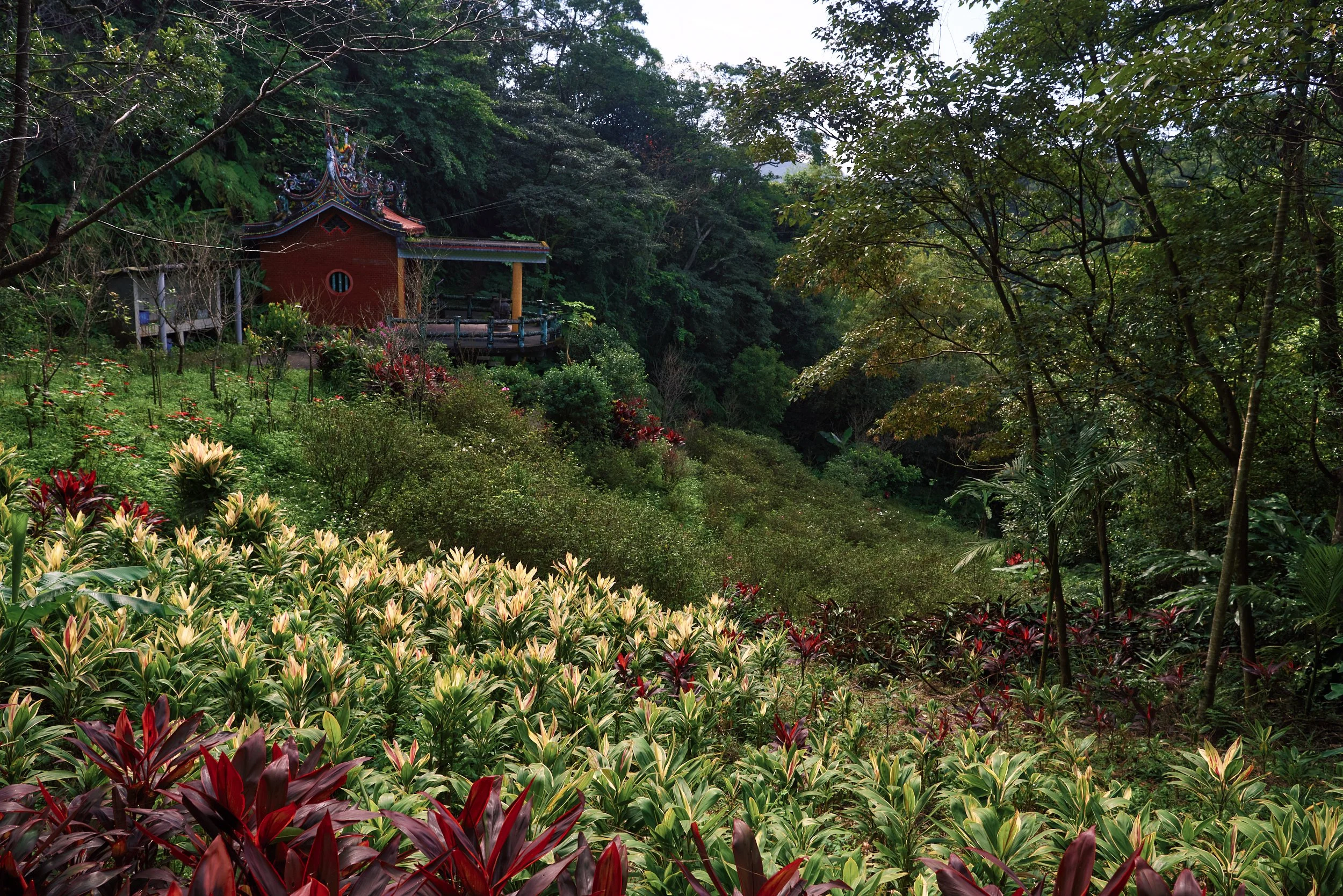 _DSC7267- JPEG 2500px for Squarespace .jpg